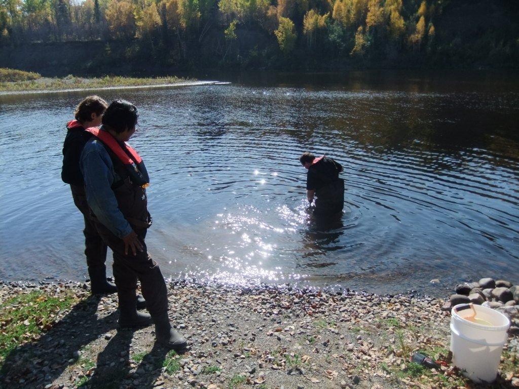 Highlights from NOFNEC 2014