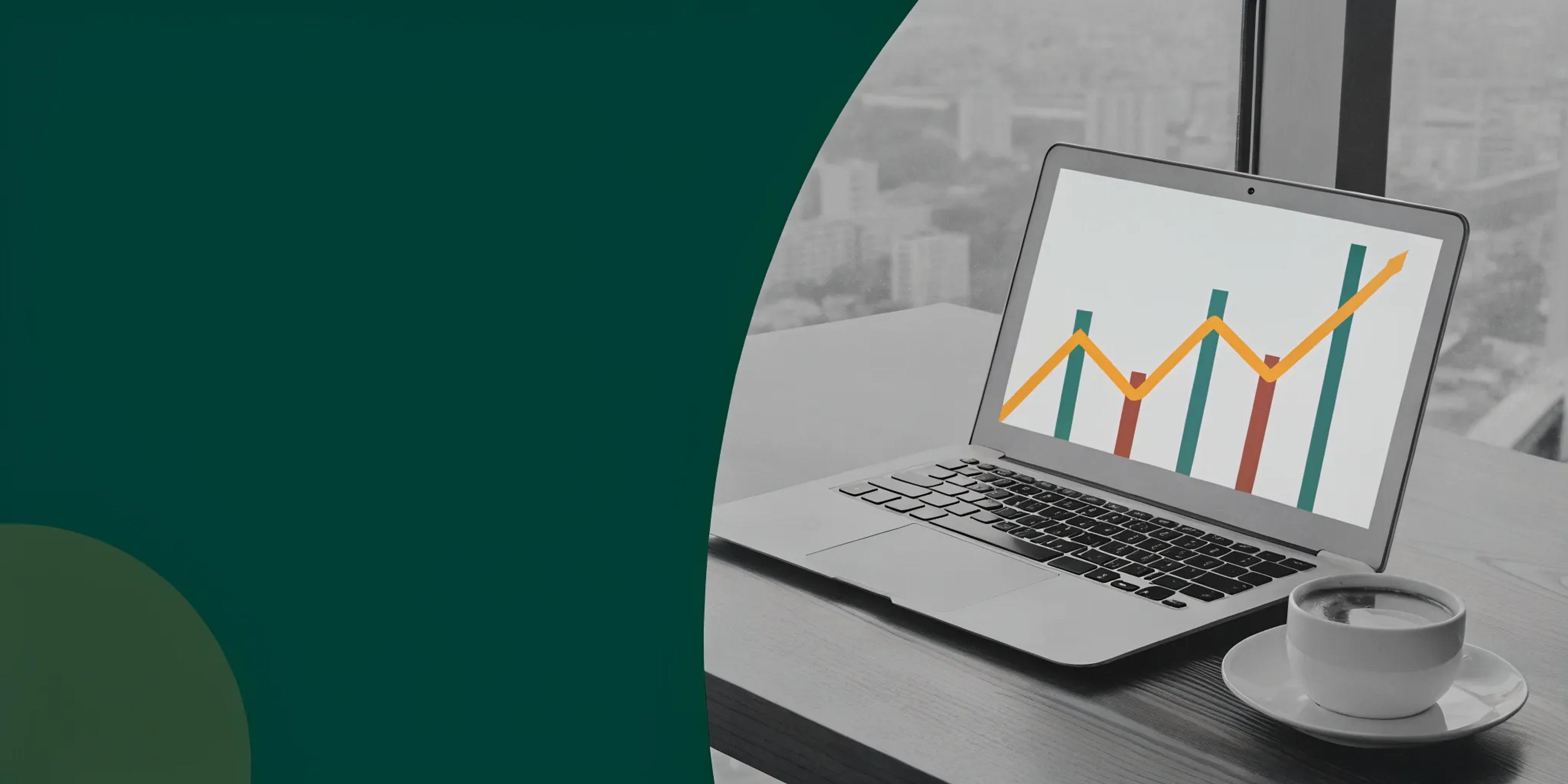 Annual Business Revenue: A Guide for SaaS Companies