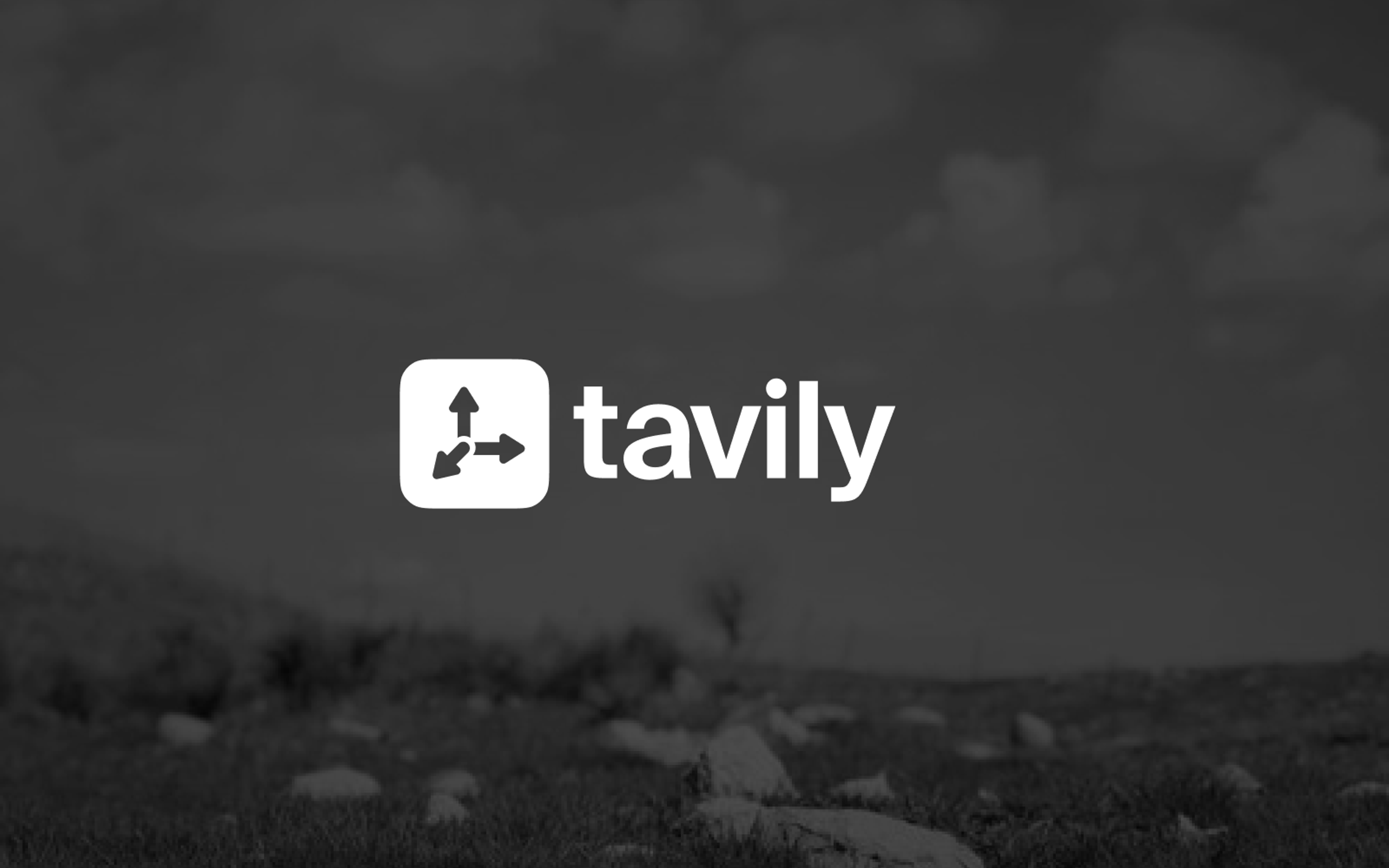 Tavily logo with a white icon of three arrows pointing outwards and the word 'tavily' on a blurred grayscale landscape.