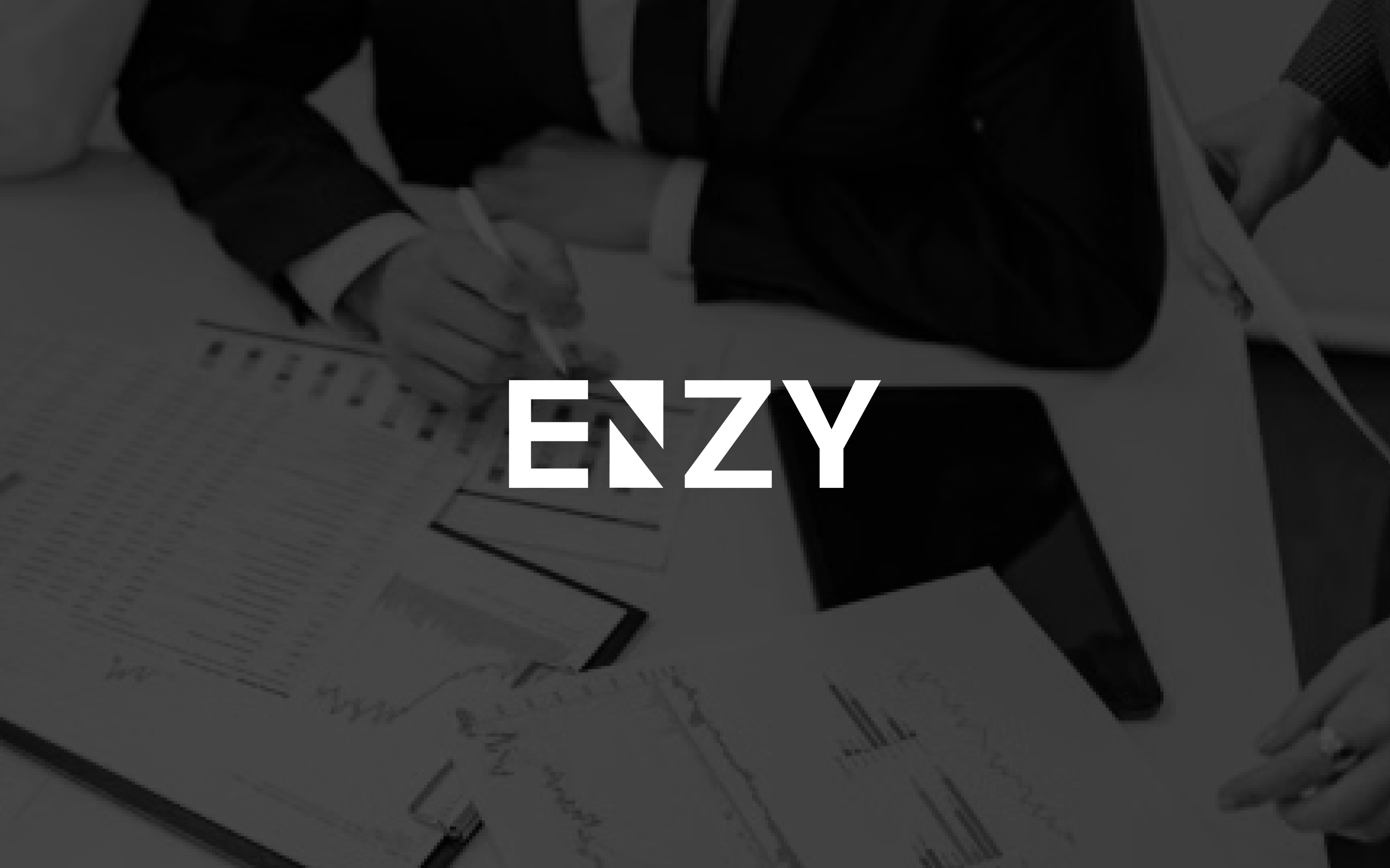 Enzy logo