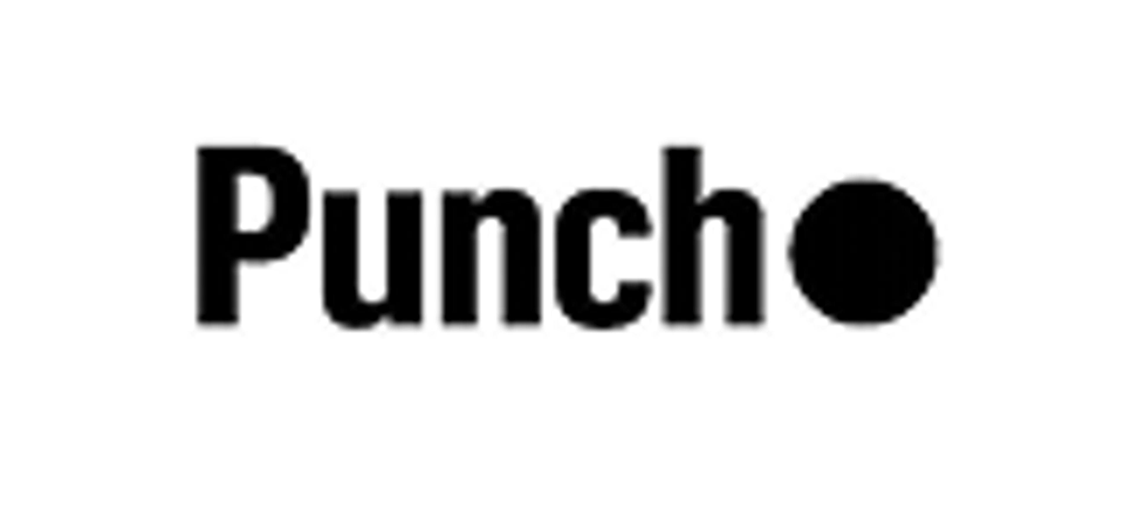 punch financial