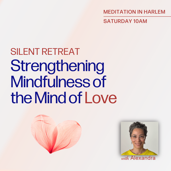 Silent Retreat - Strengthening Mindfulness of the Mind of Love