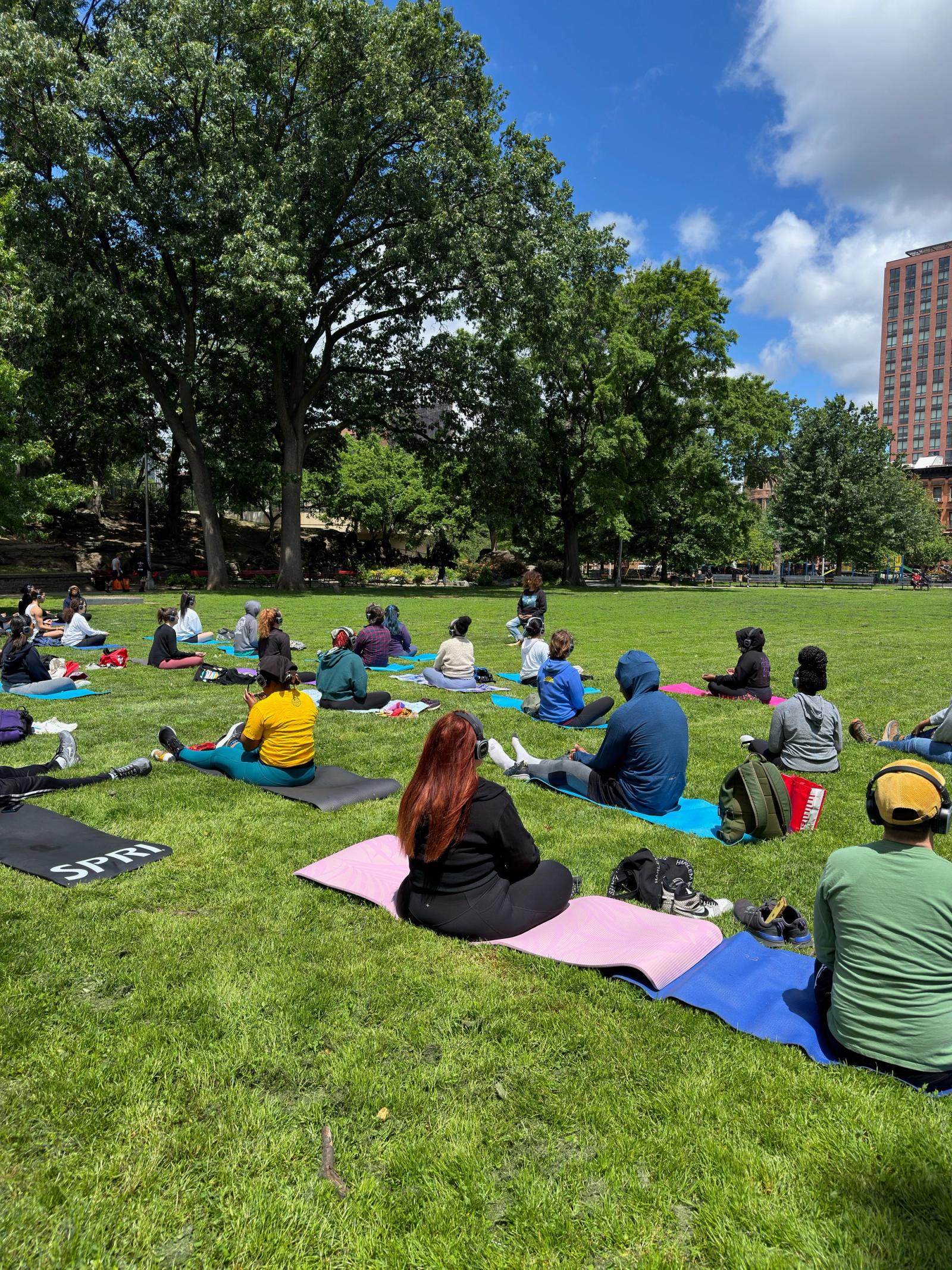 Meditation in Marcus Garvey Park - Change Your Mind, Change Your World