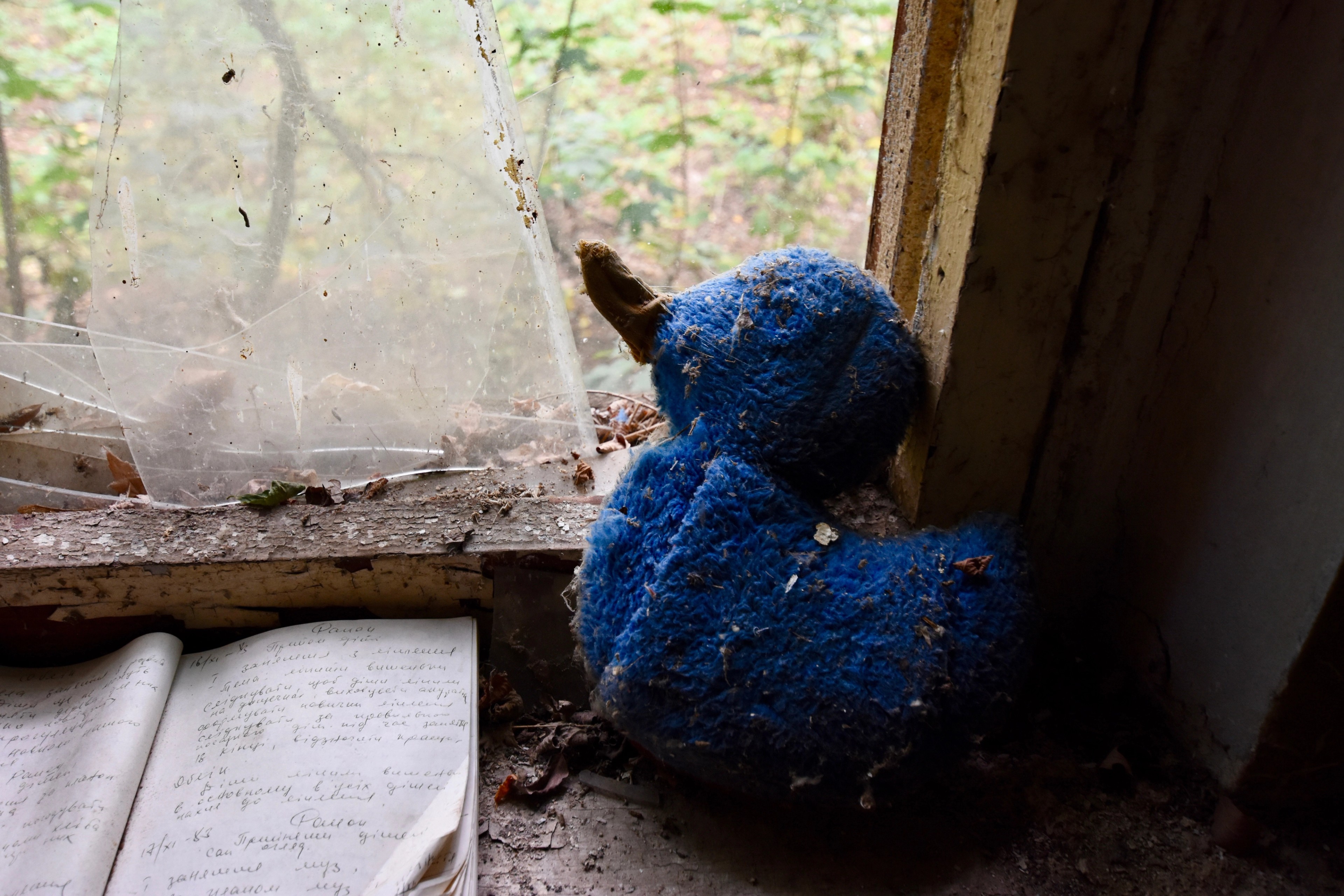 A blue stuffed toy sits beside a window and an open book.