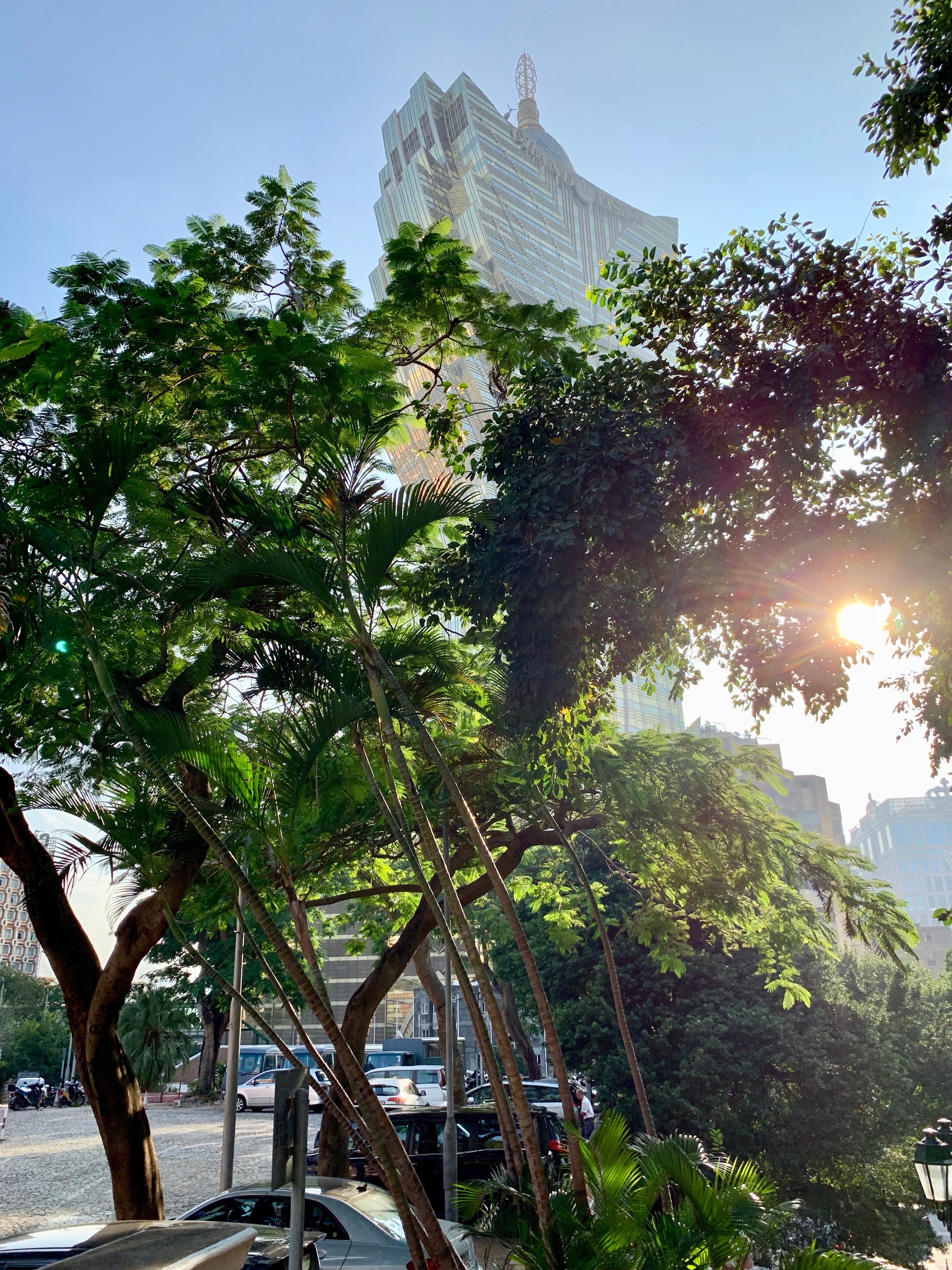 Trees and a modern Macau tower in bright sunlight.