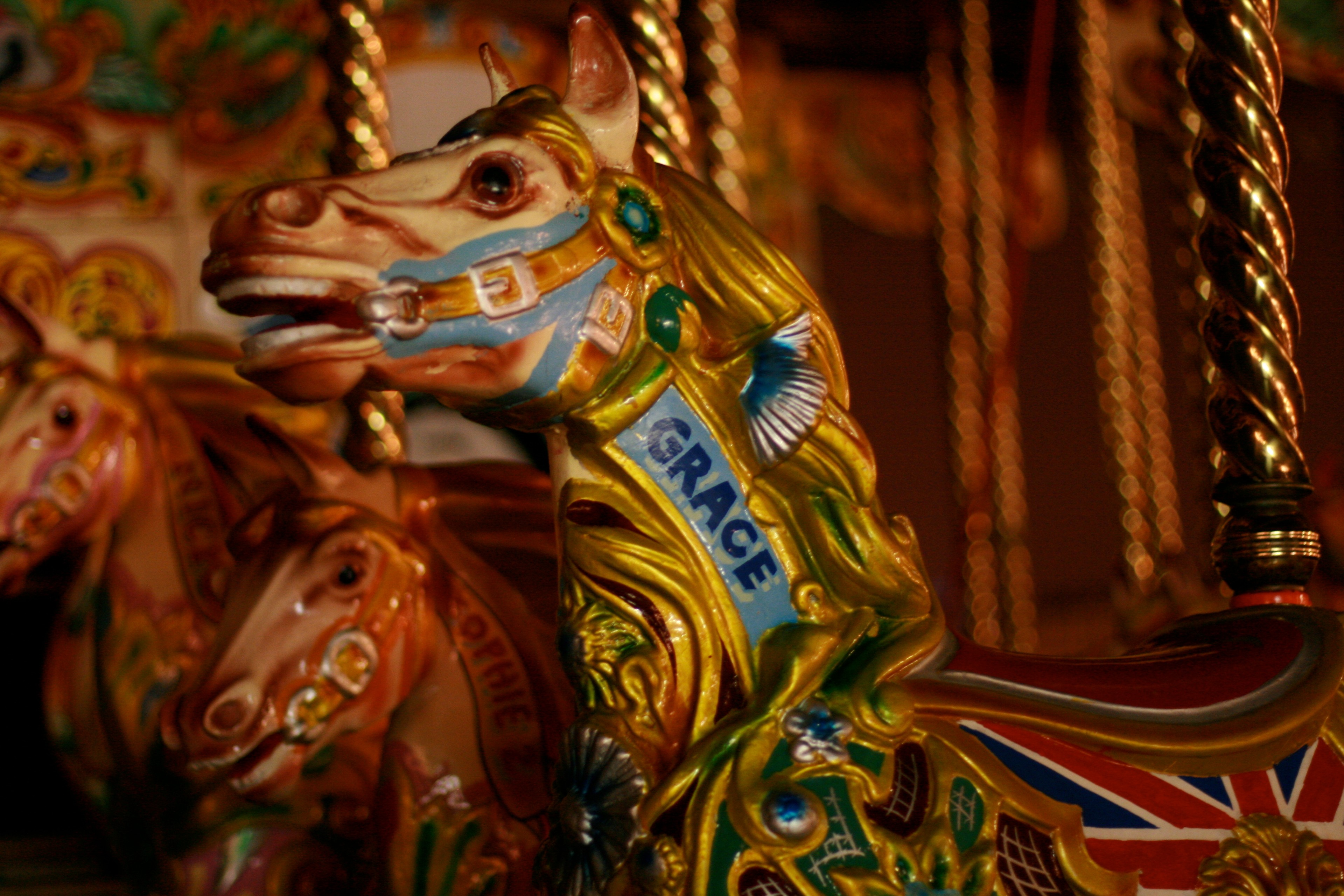 A painted carousel horse is shown in warm light.