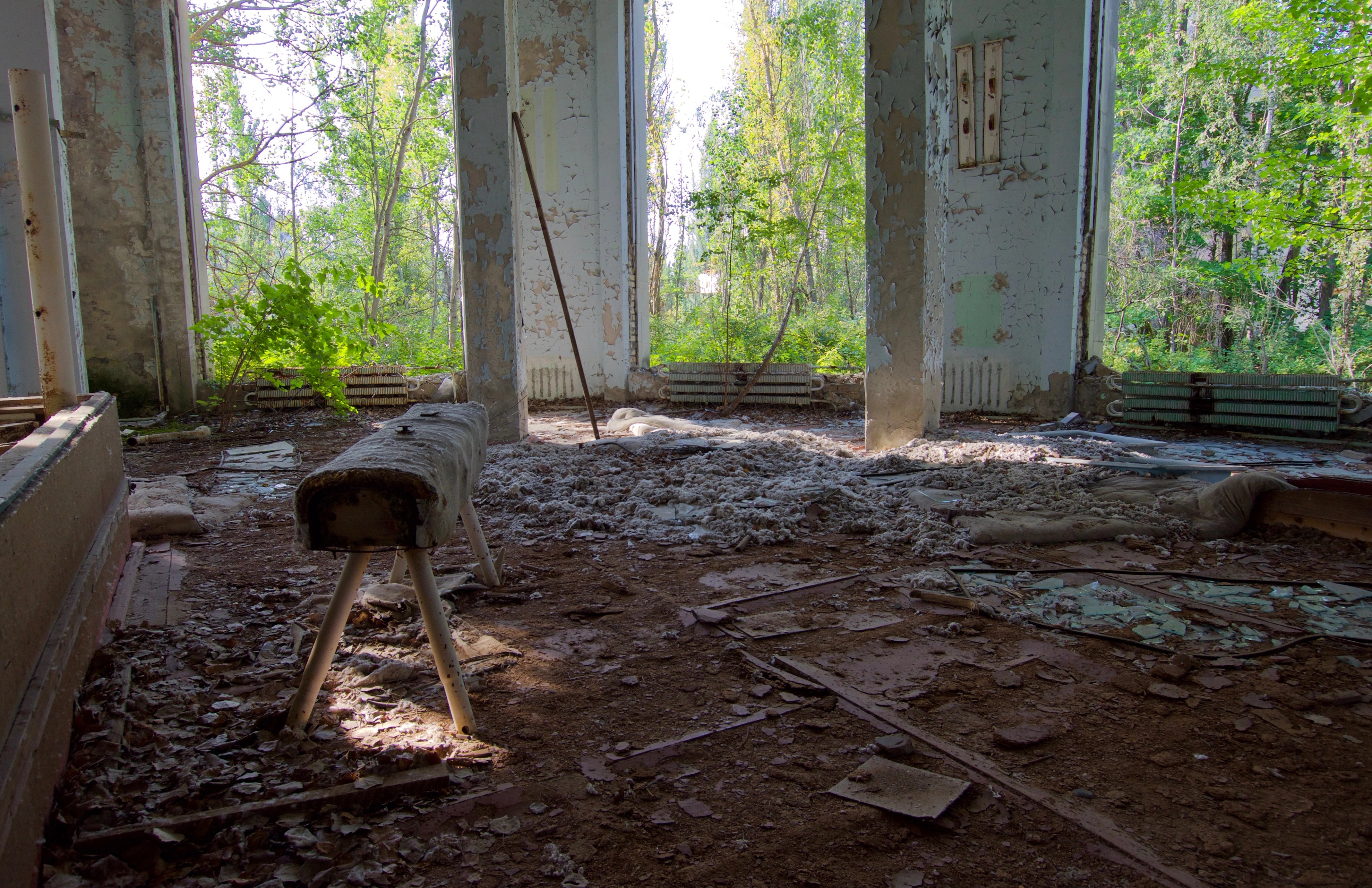 Trees grow through the broken windows of a derelict room.