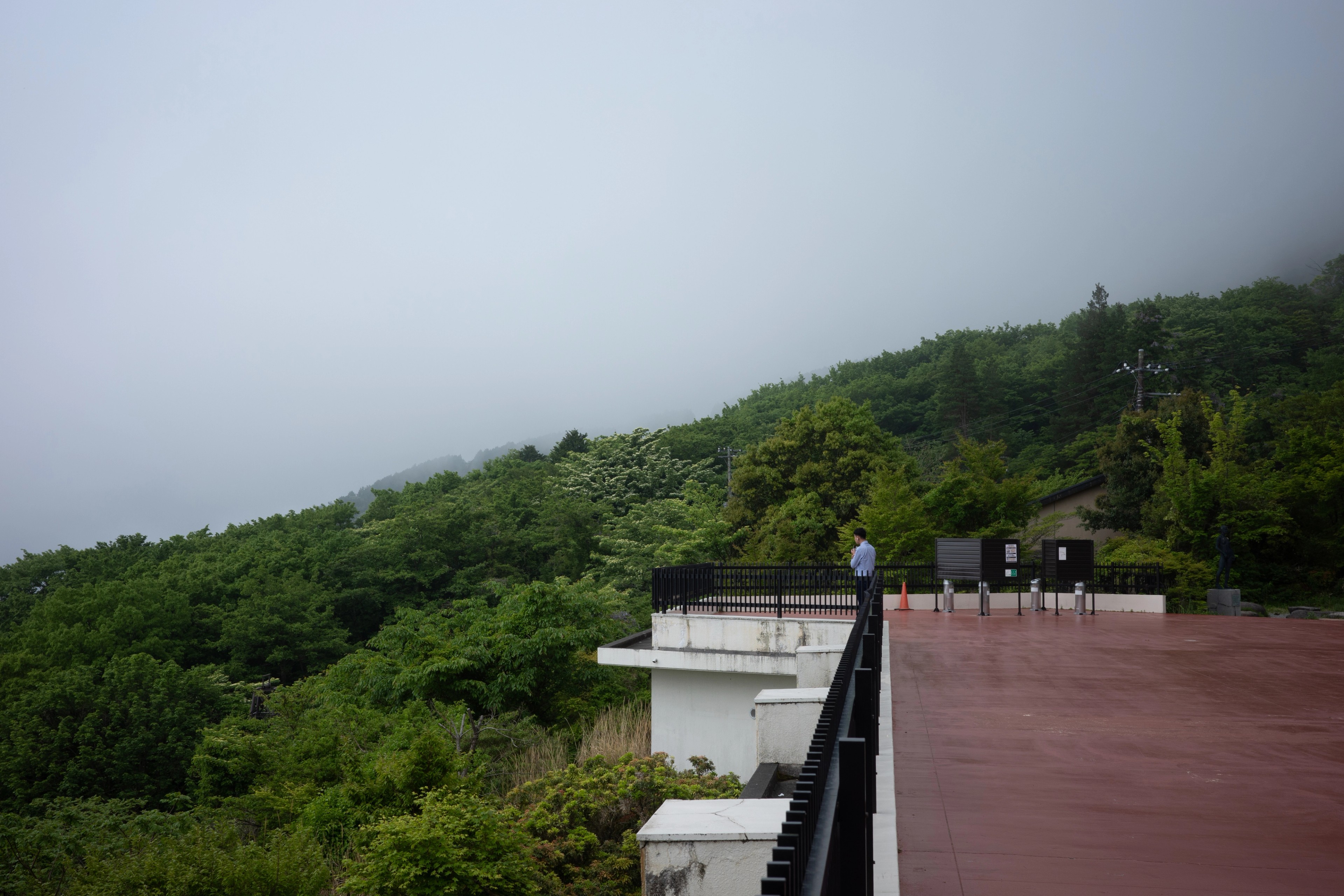 A low rooftop overlooks green hills under an overcast sky.