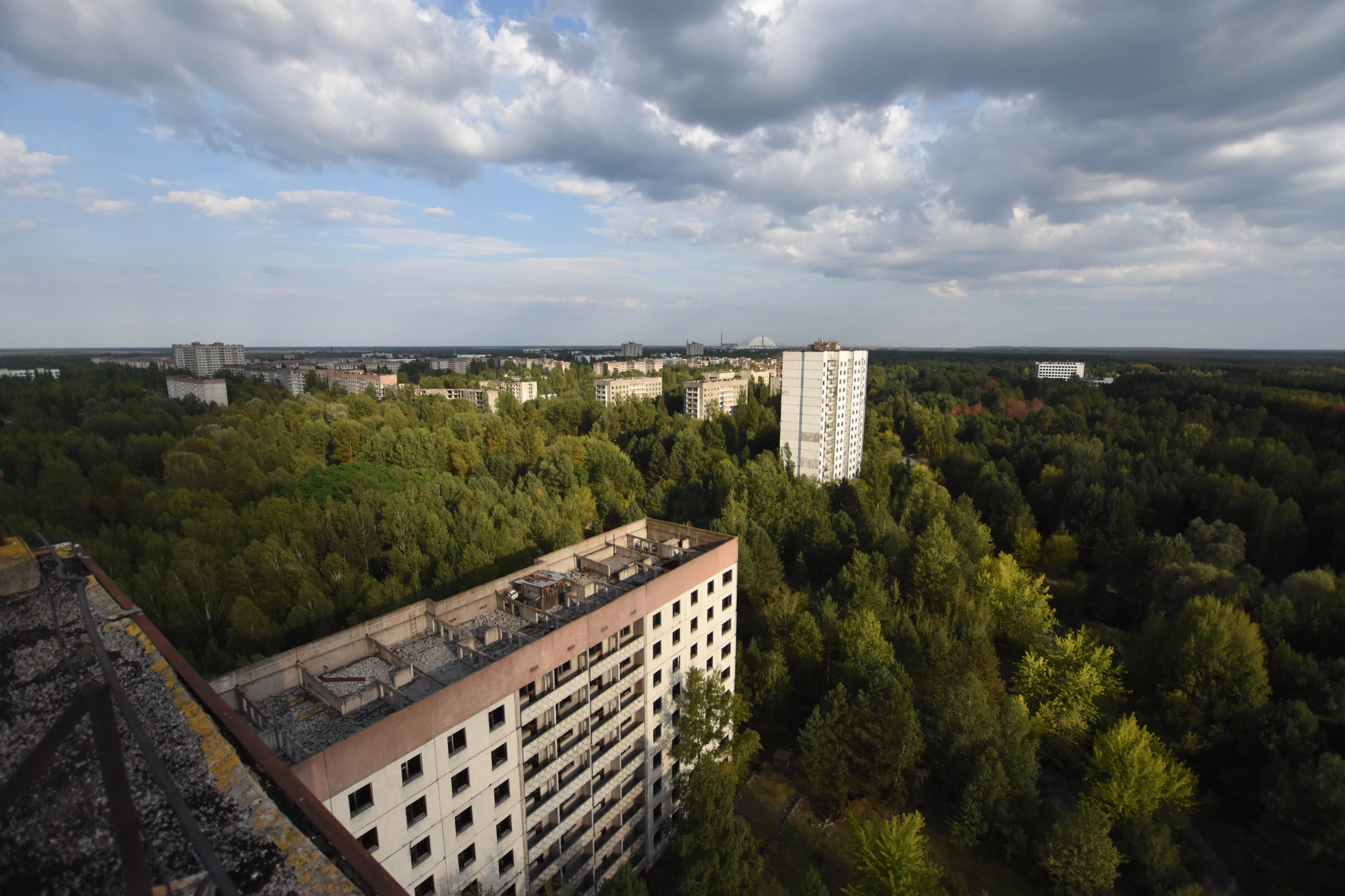 Aerial view across an empty apartment block and surrounding trees.