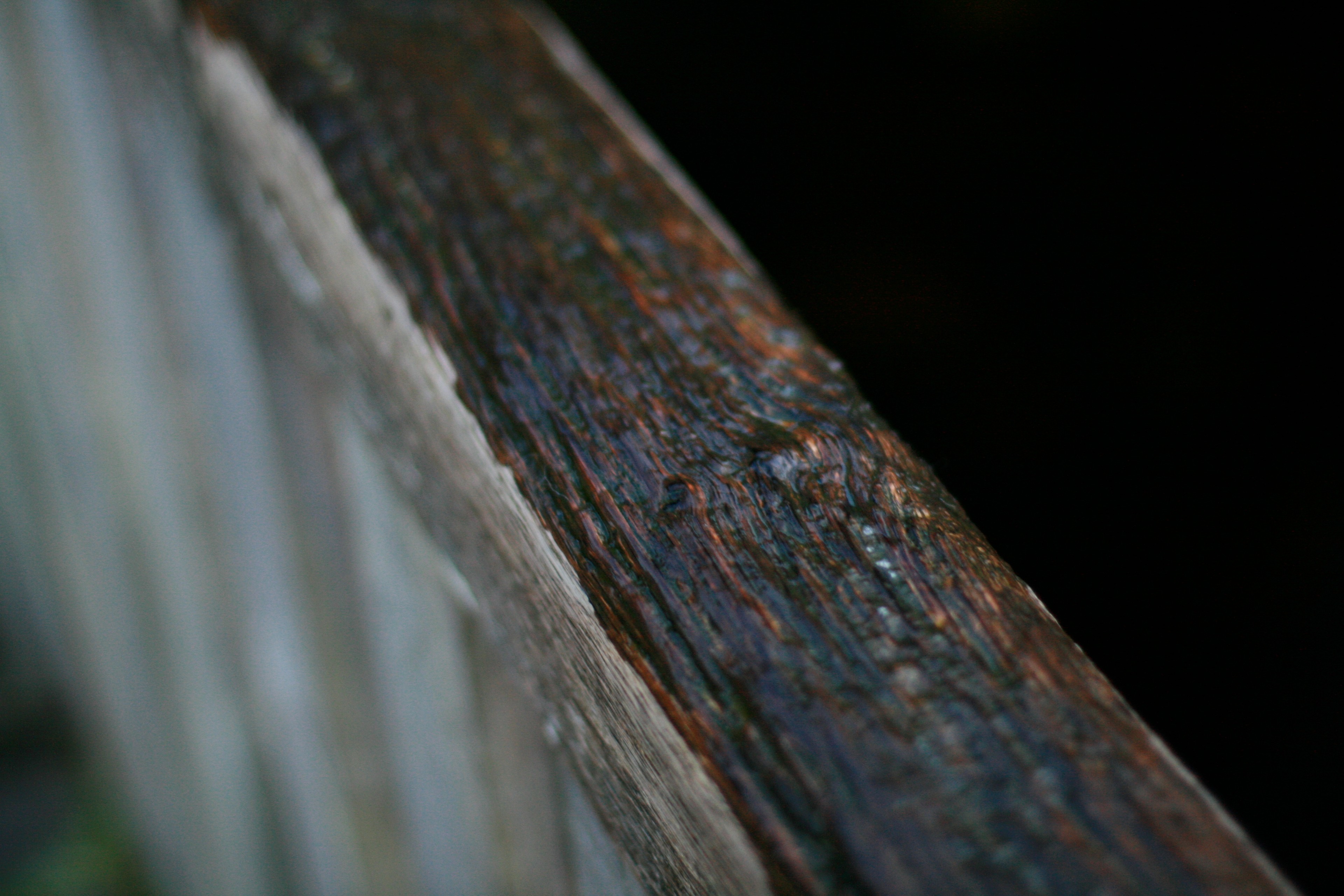 A weathered wooden rail crosses the frame at close range.