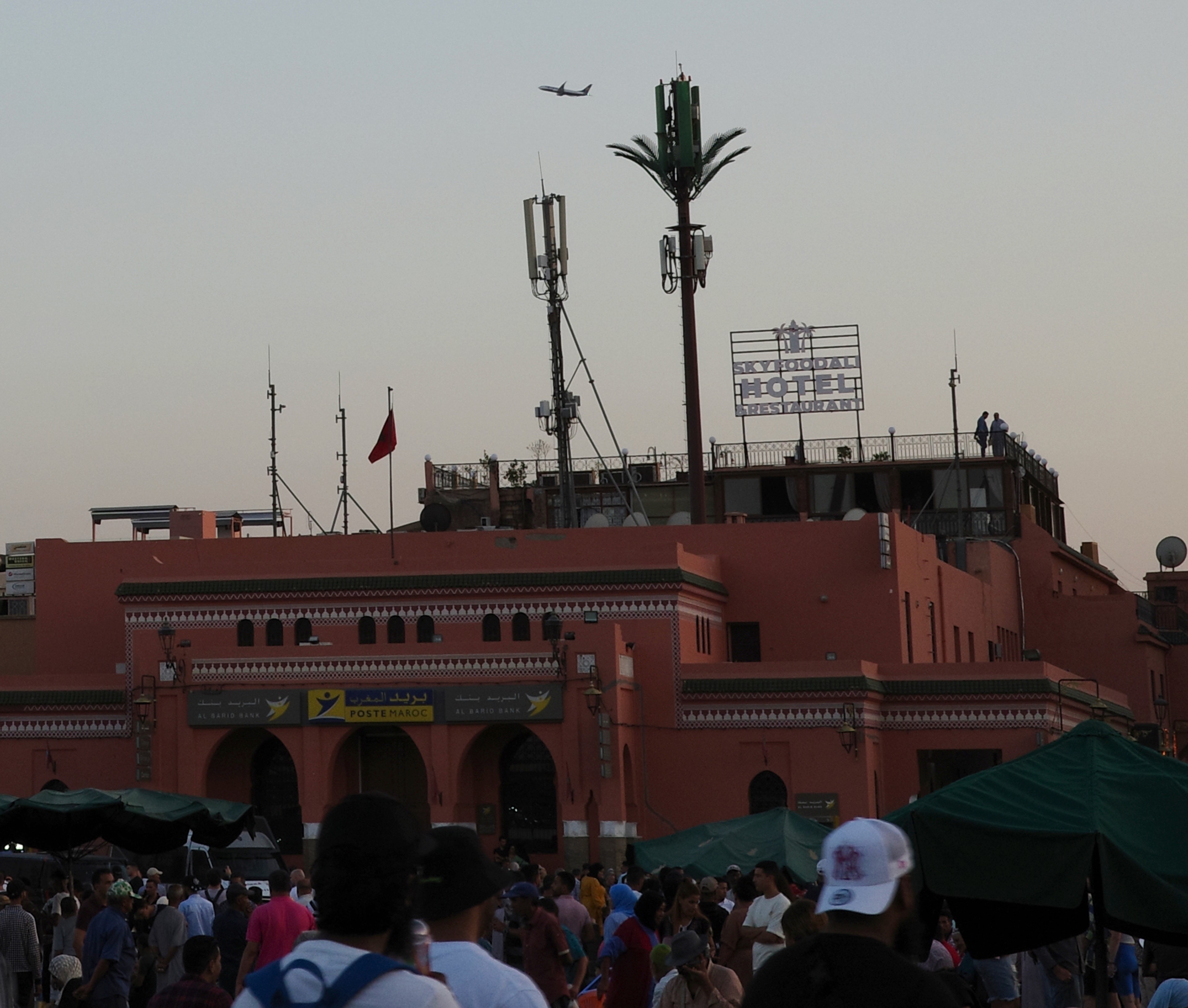 A palm tree and rooftop structures rise above the surrounding buildings.