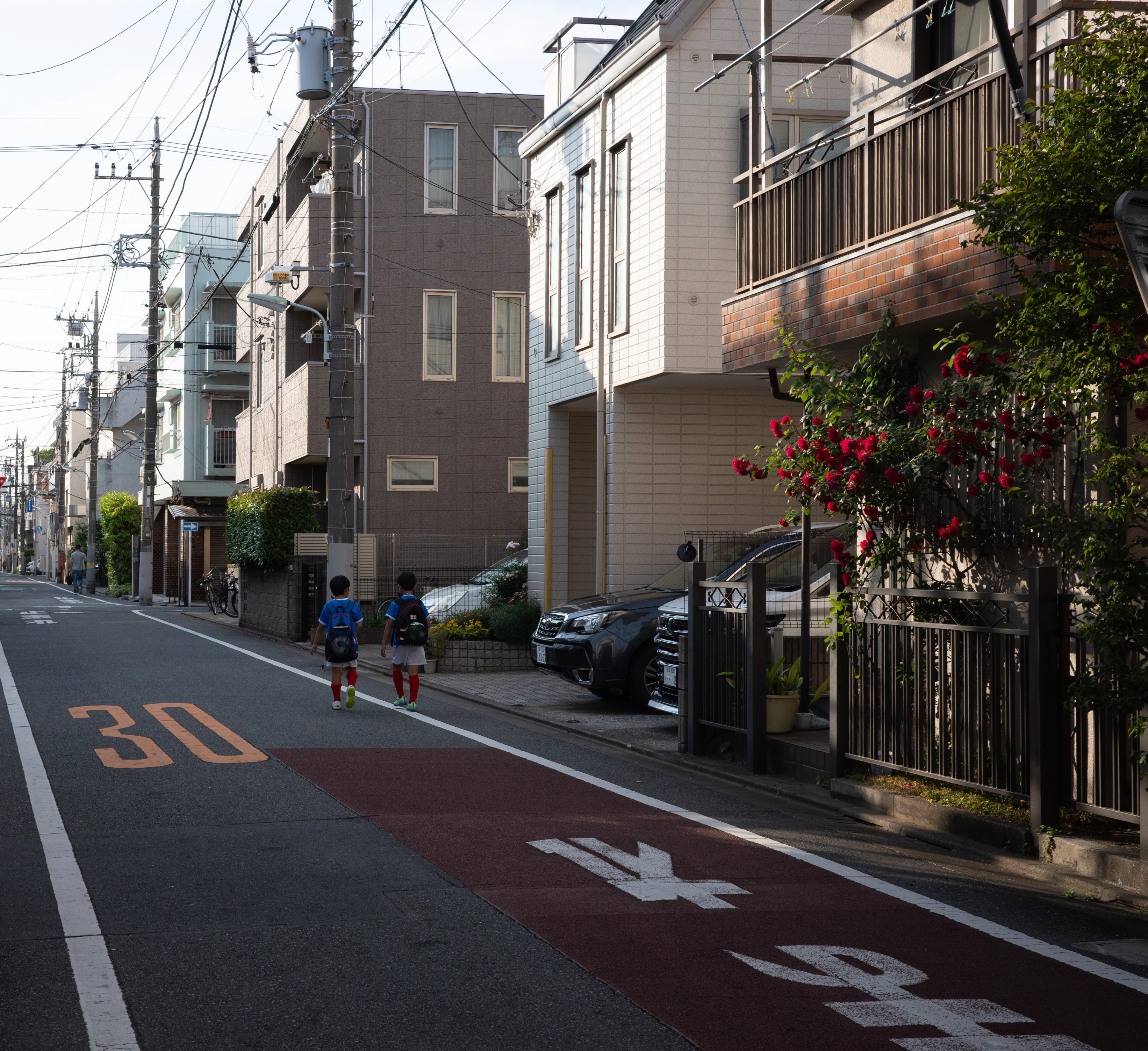 A quiet residential lane lined with small homes.