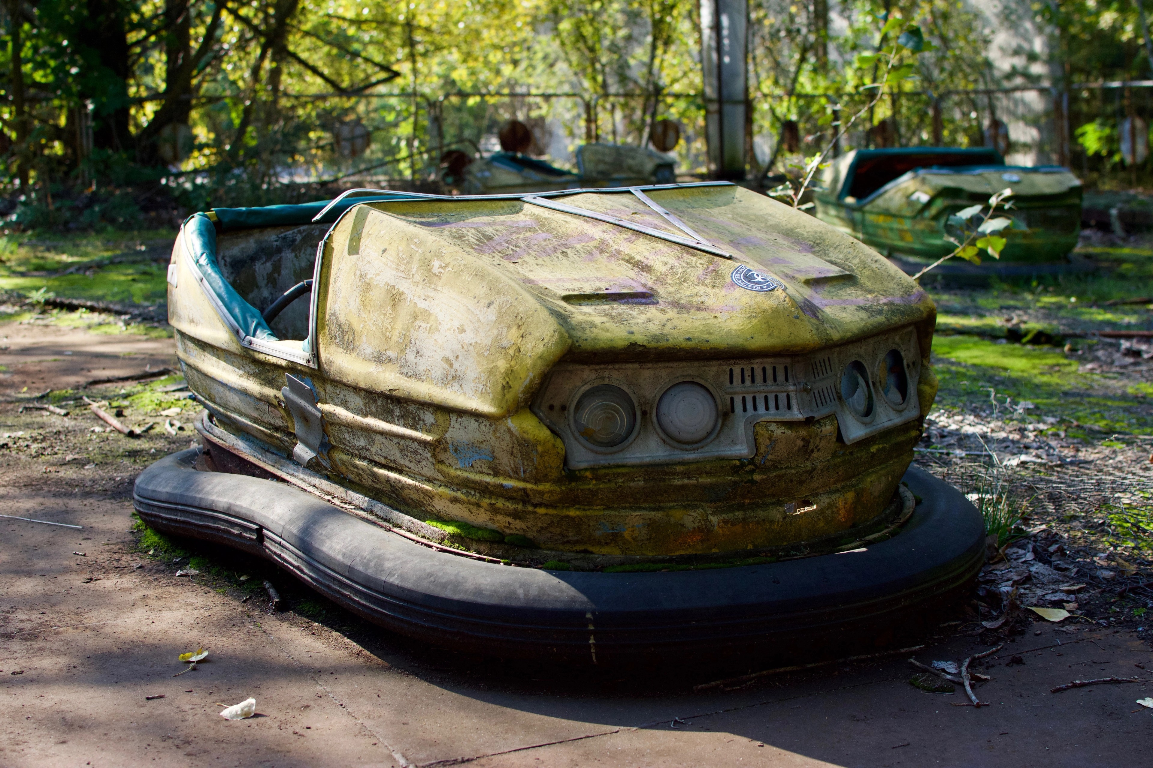 A rusted bumper car sits in a grassy clearing.