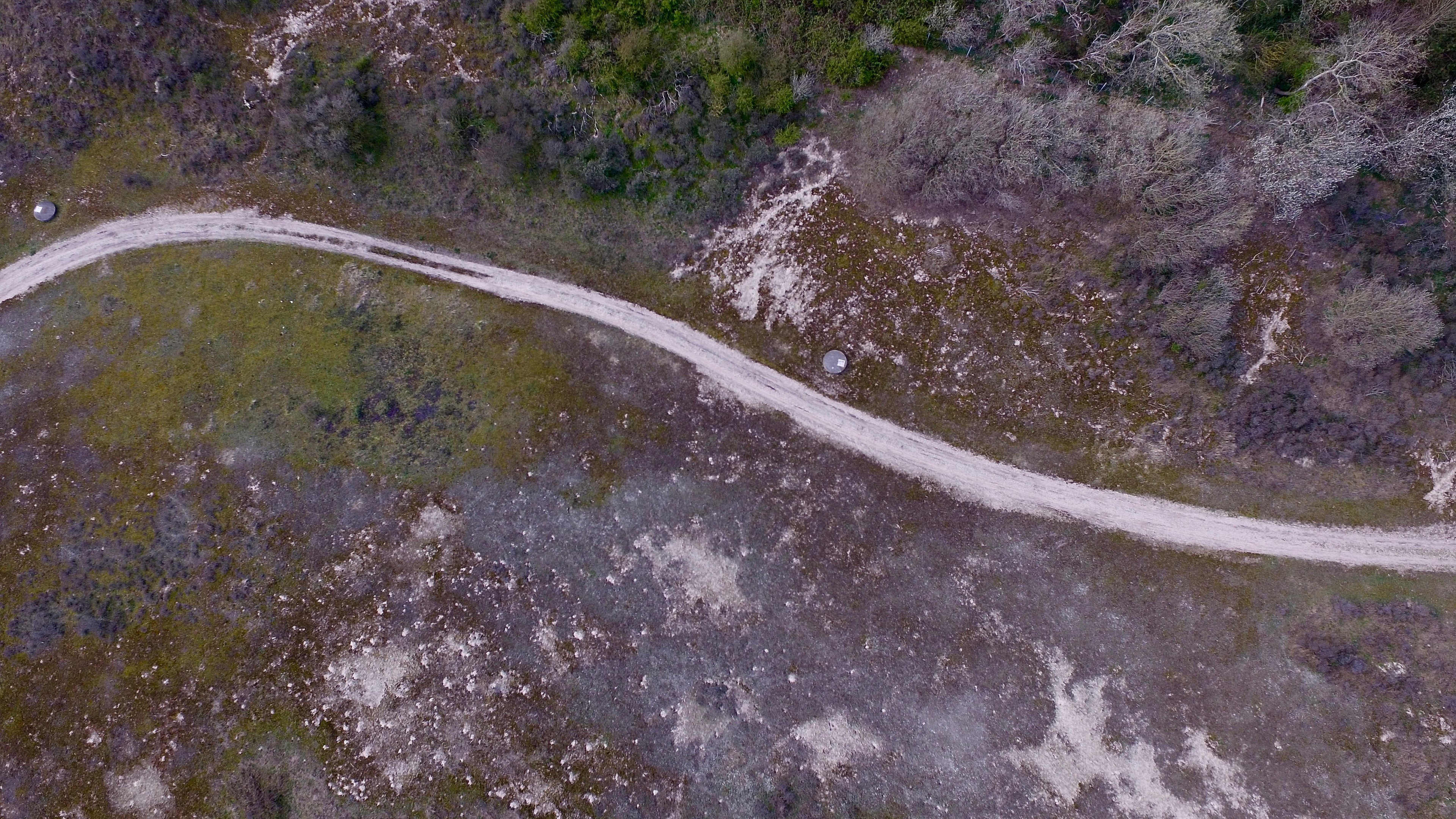 A narrow pale trail winds across rough heathland.