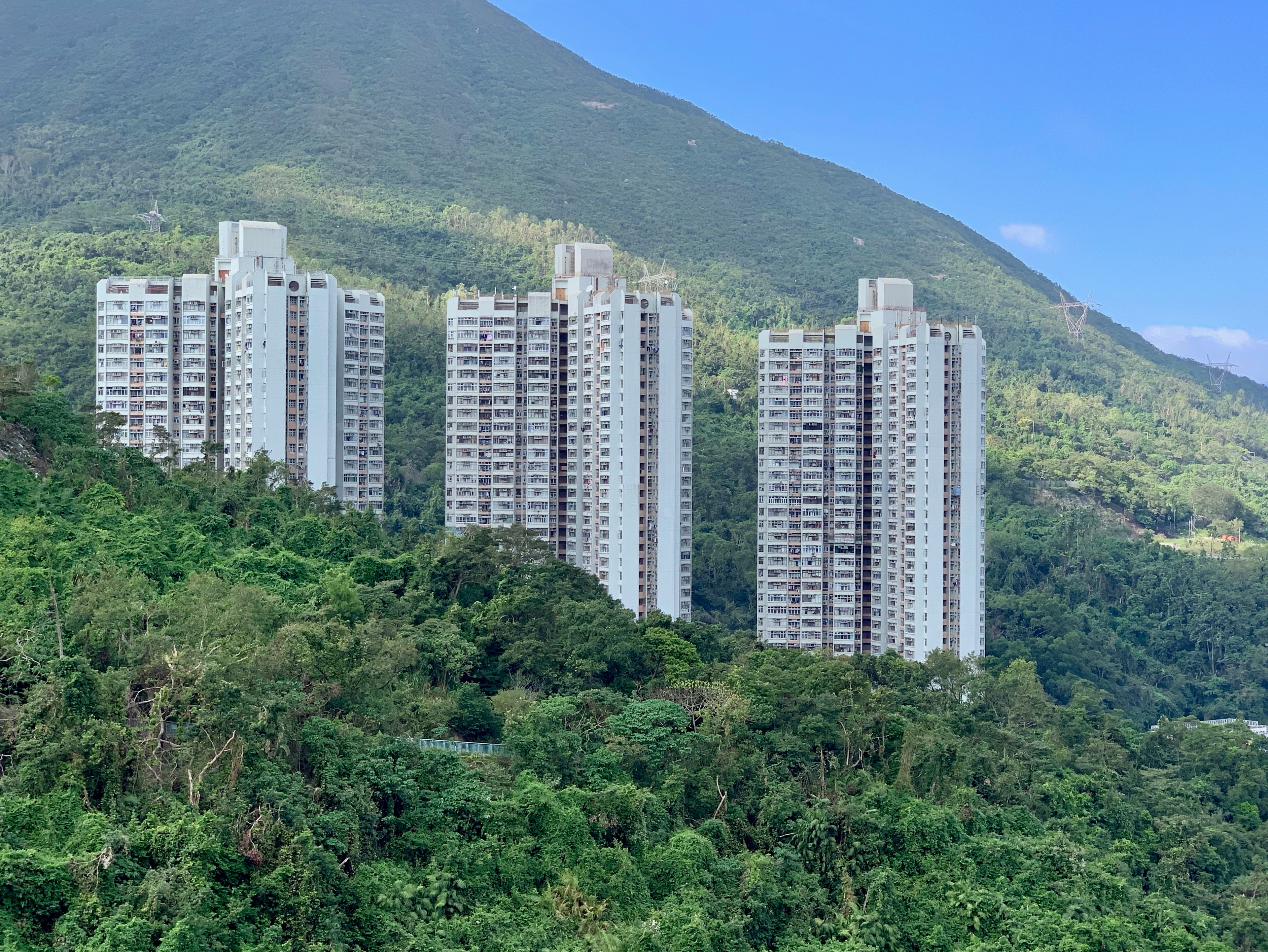 Residential towers rising from a forested Hong Kong hillside.