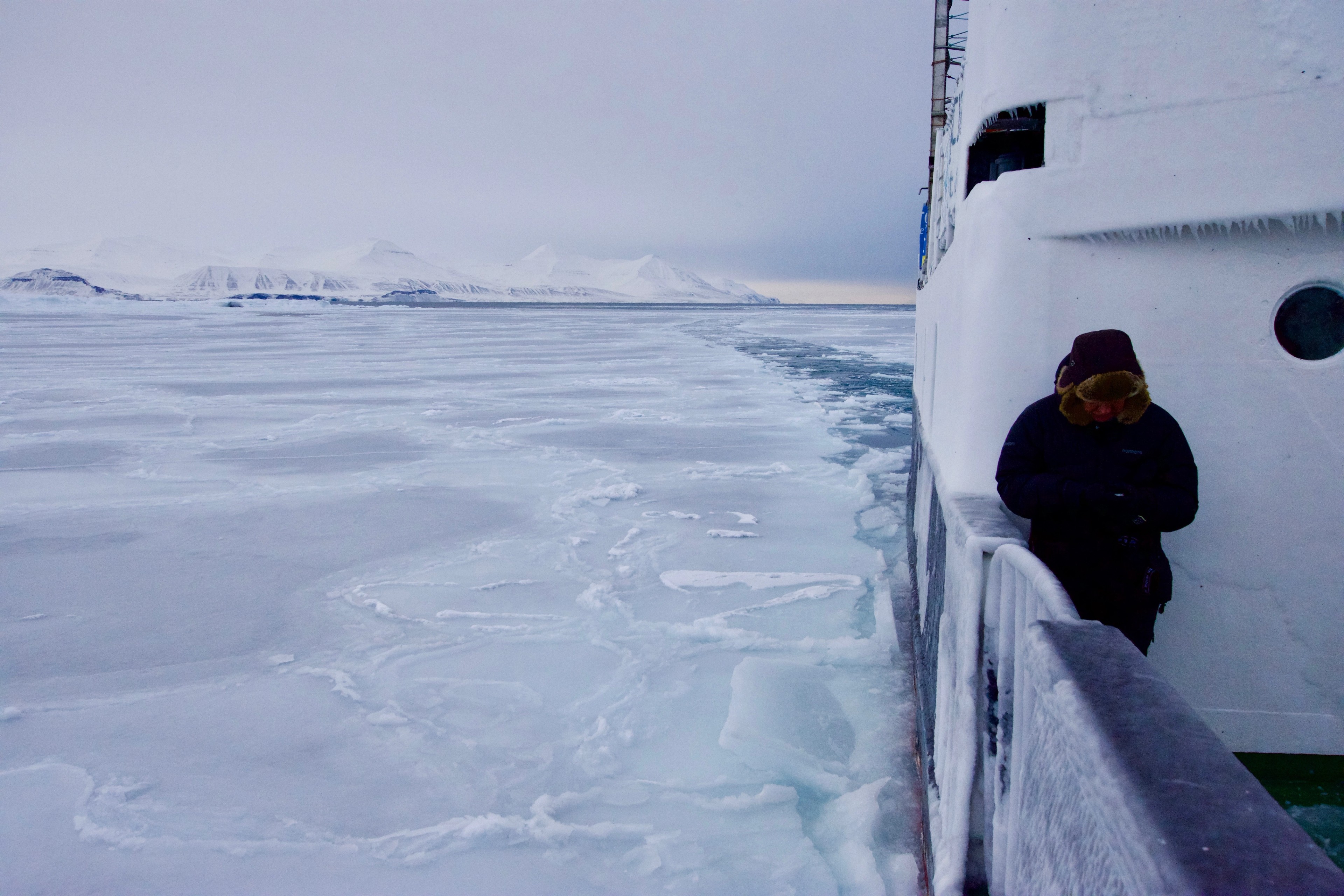 A person looks out from the side of a boat surrounded by sea ice.
