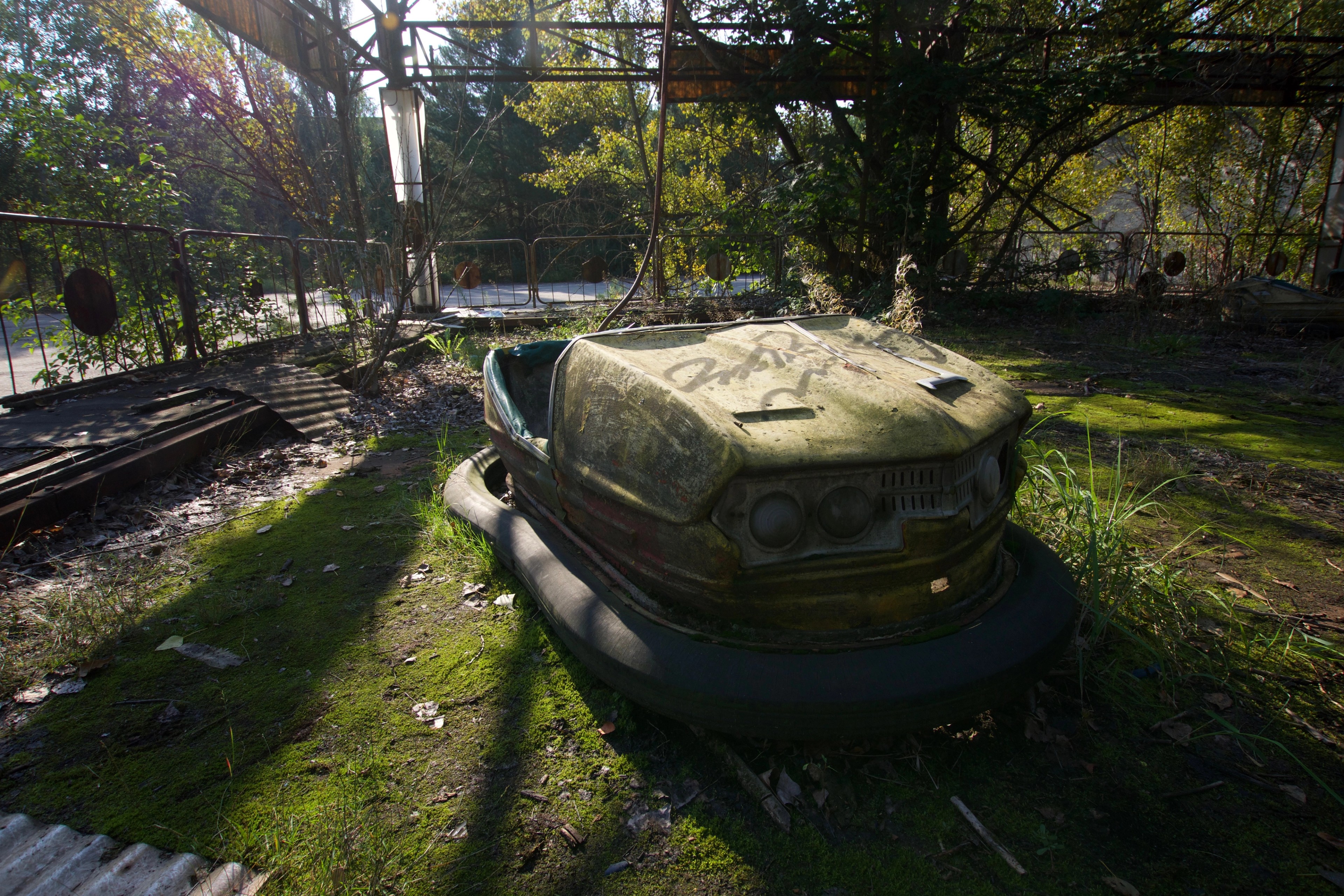 An overgrown bumper car sits in a clearing beneath trees.