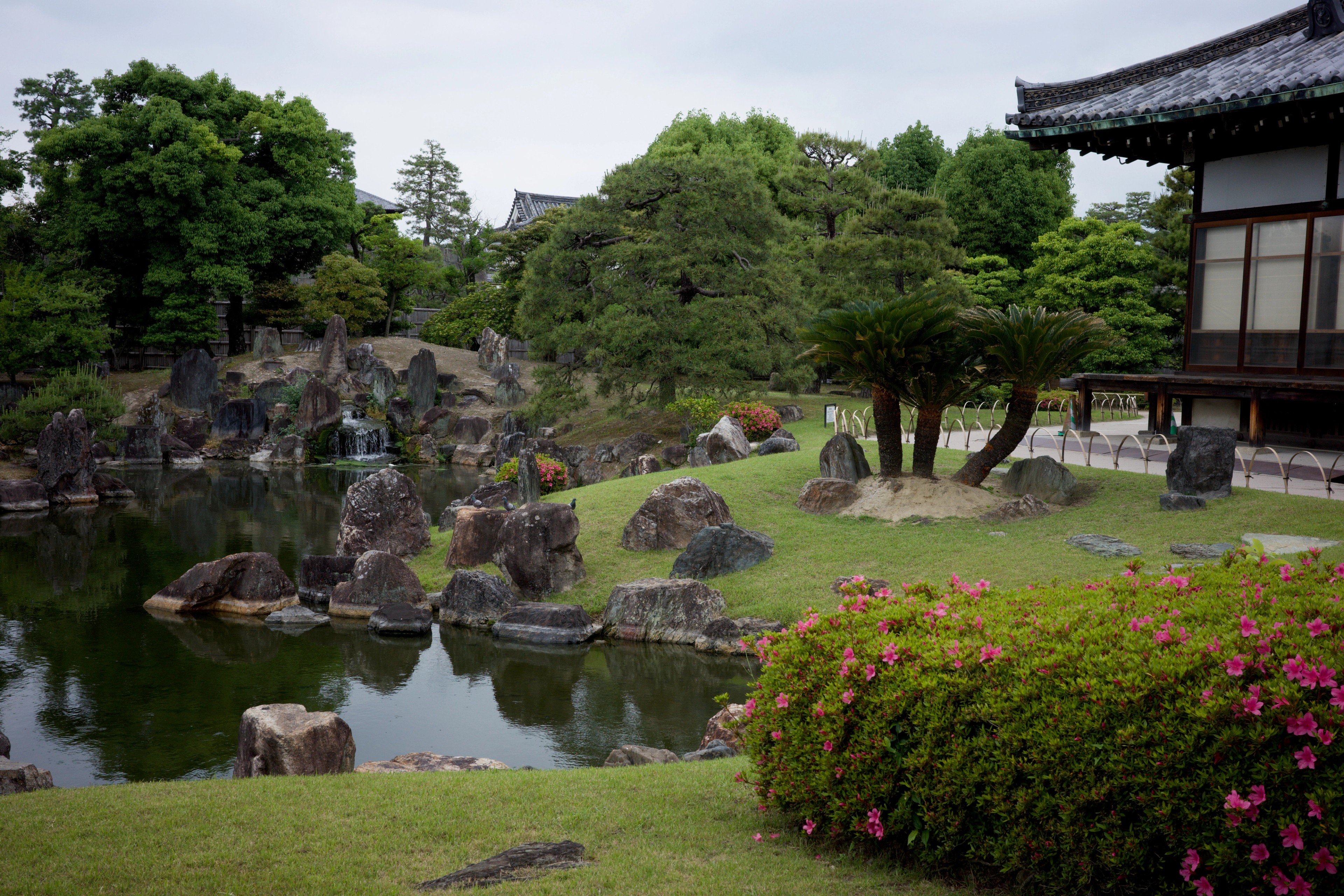 A pond, shrubs, rocks, and traditional buildings fill a garden.