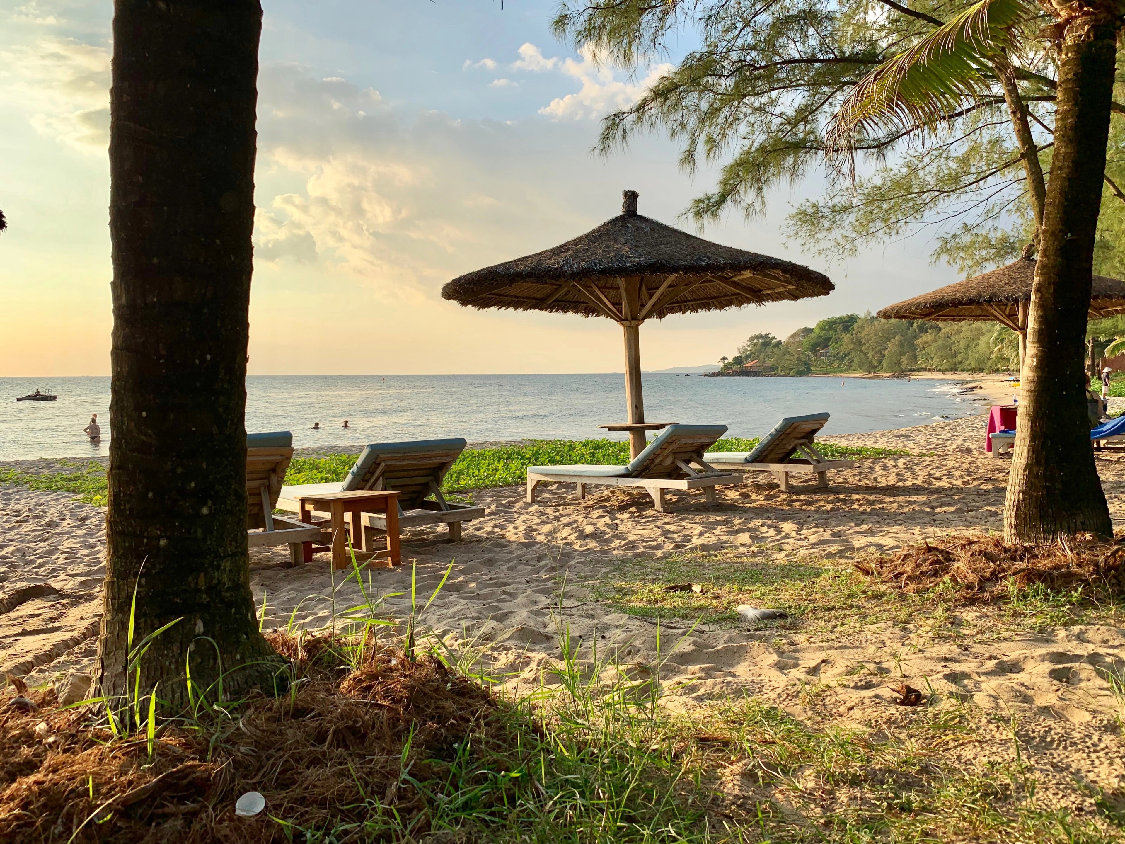 A shaded beach has lounge chairs and an umbrella beneath palm trees.