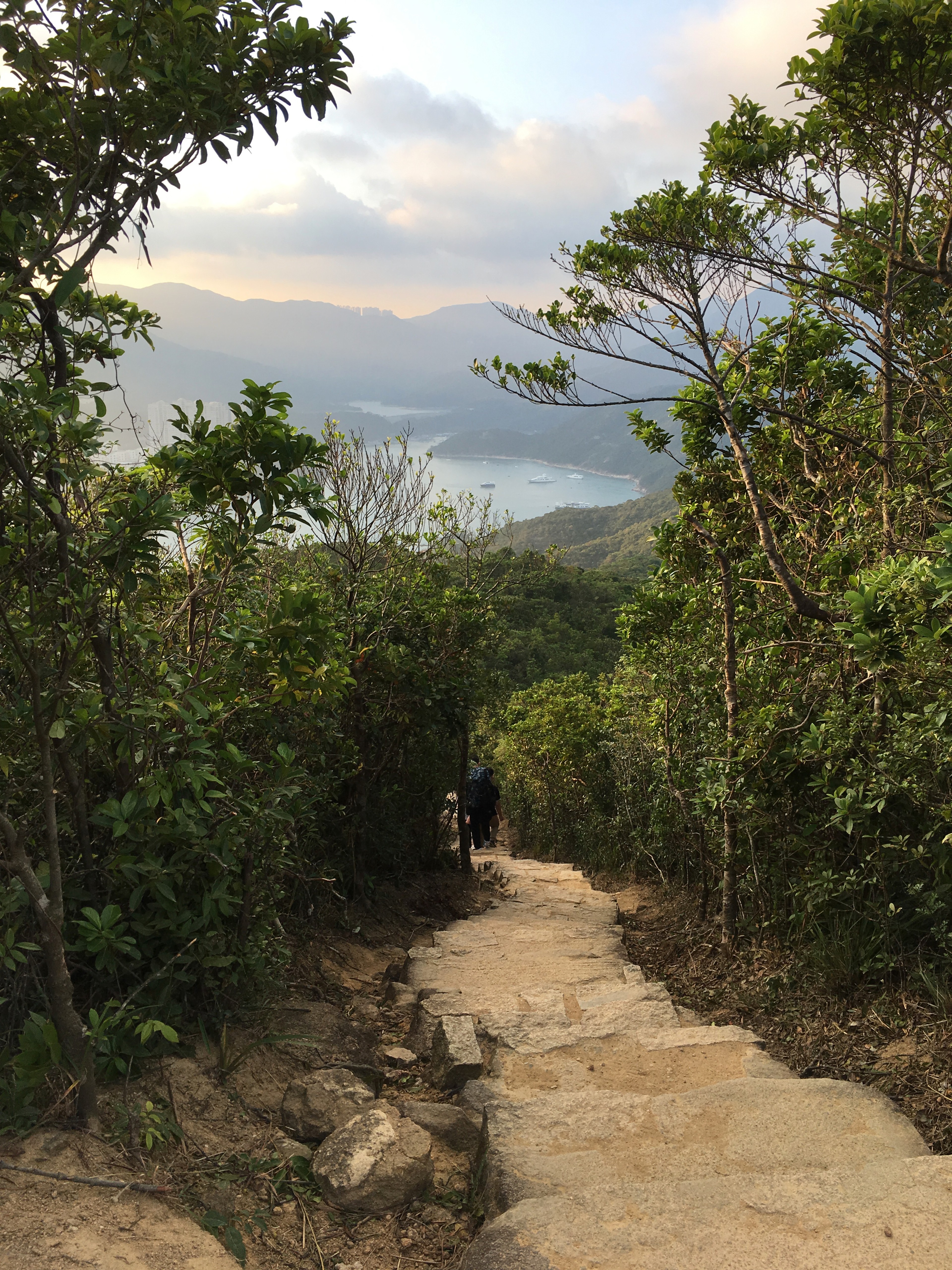 A rocky footpath winding through trees on the Dragon’s Back trail.