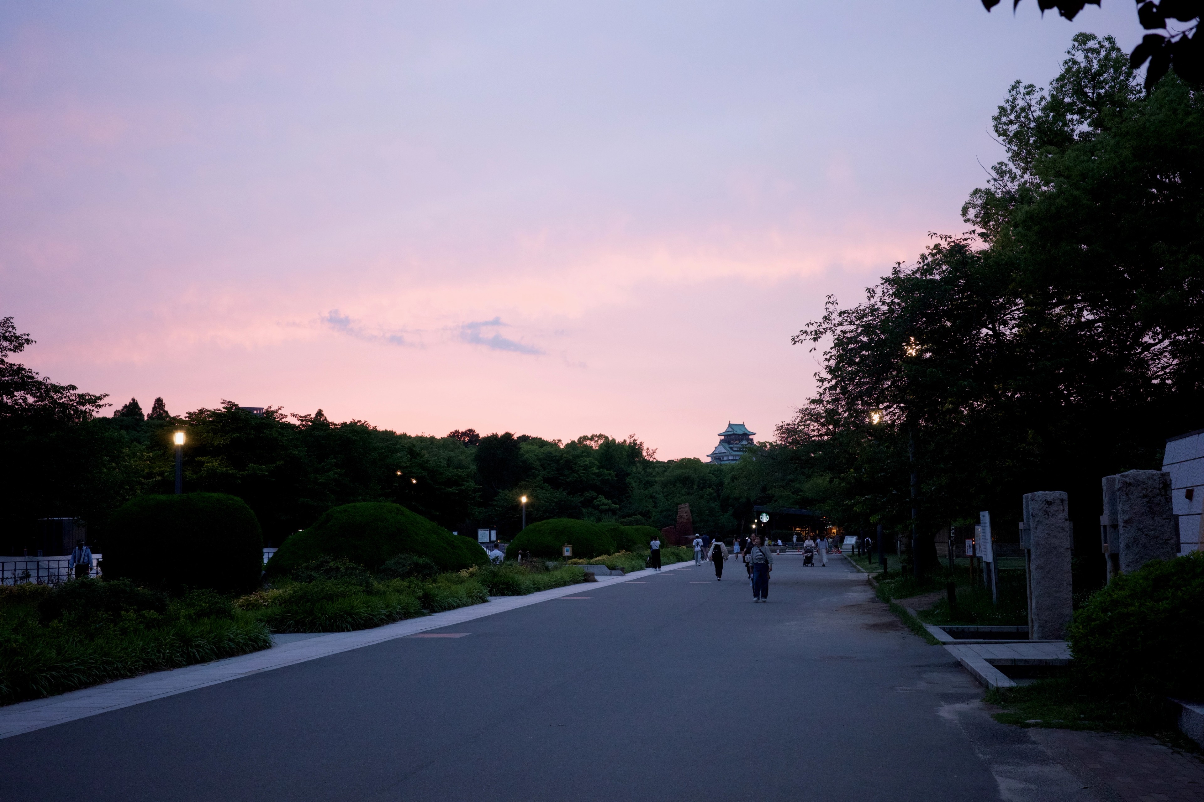 A park path and trees sit beneath a pink sunset.