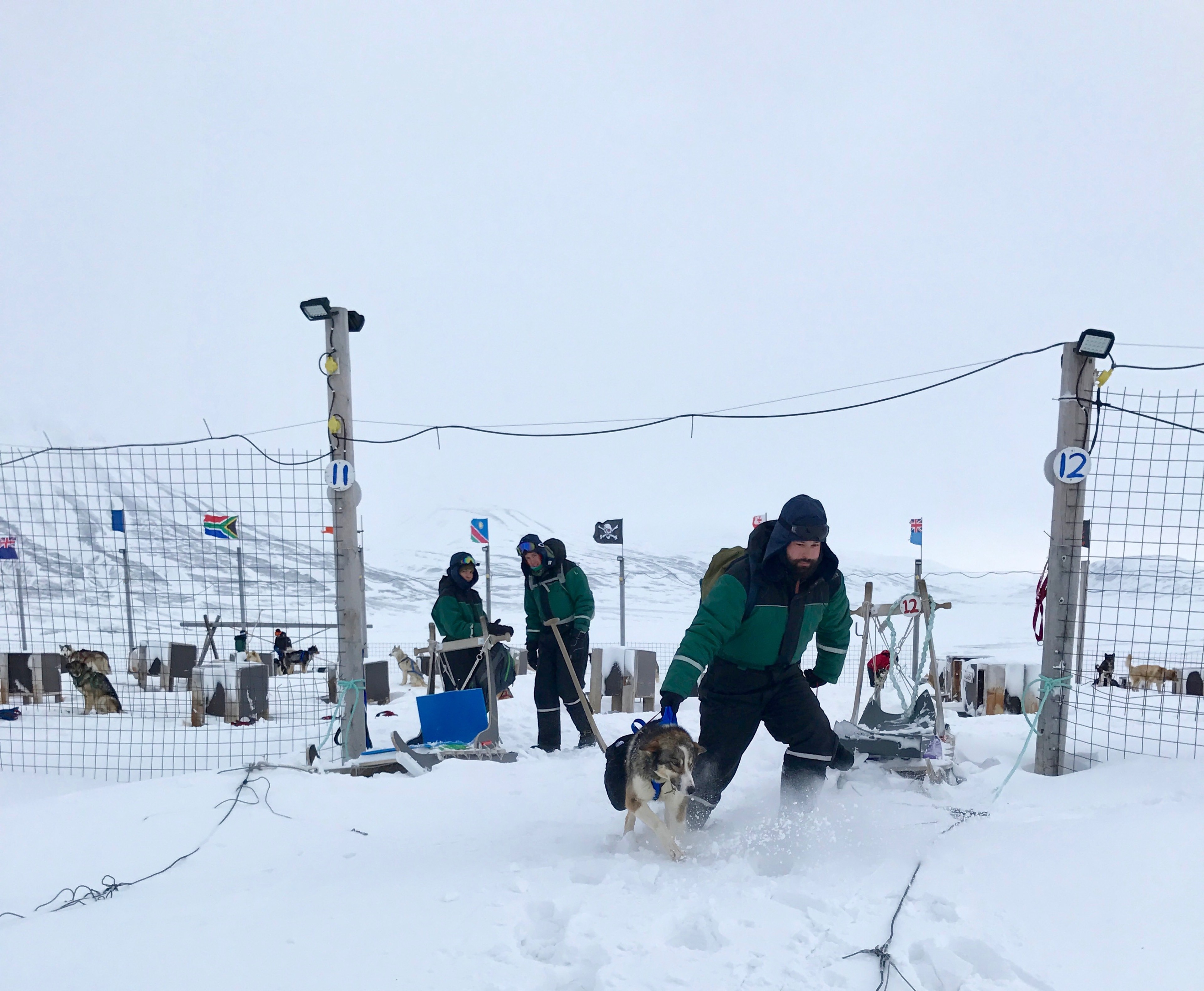 People and sled dogs gather in a snowy settlement.