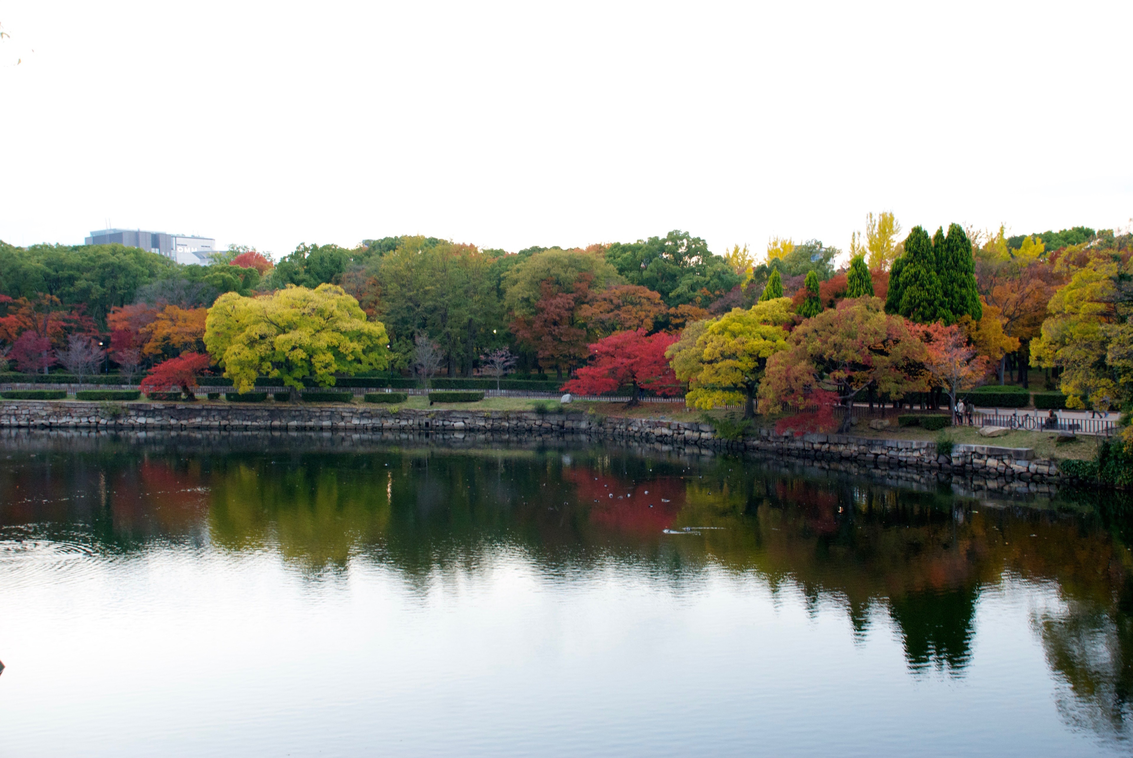 Autumn-colored trees reflect in the still water of a city pond.