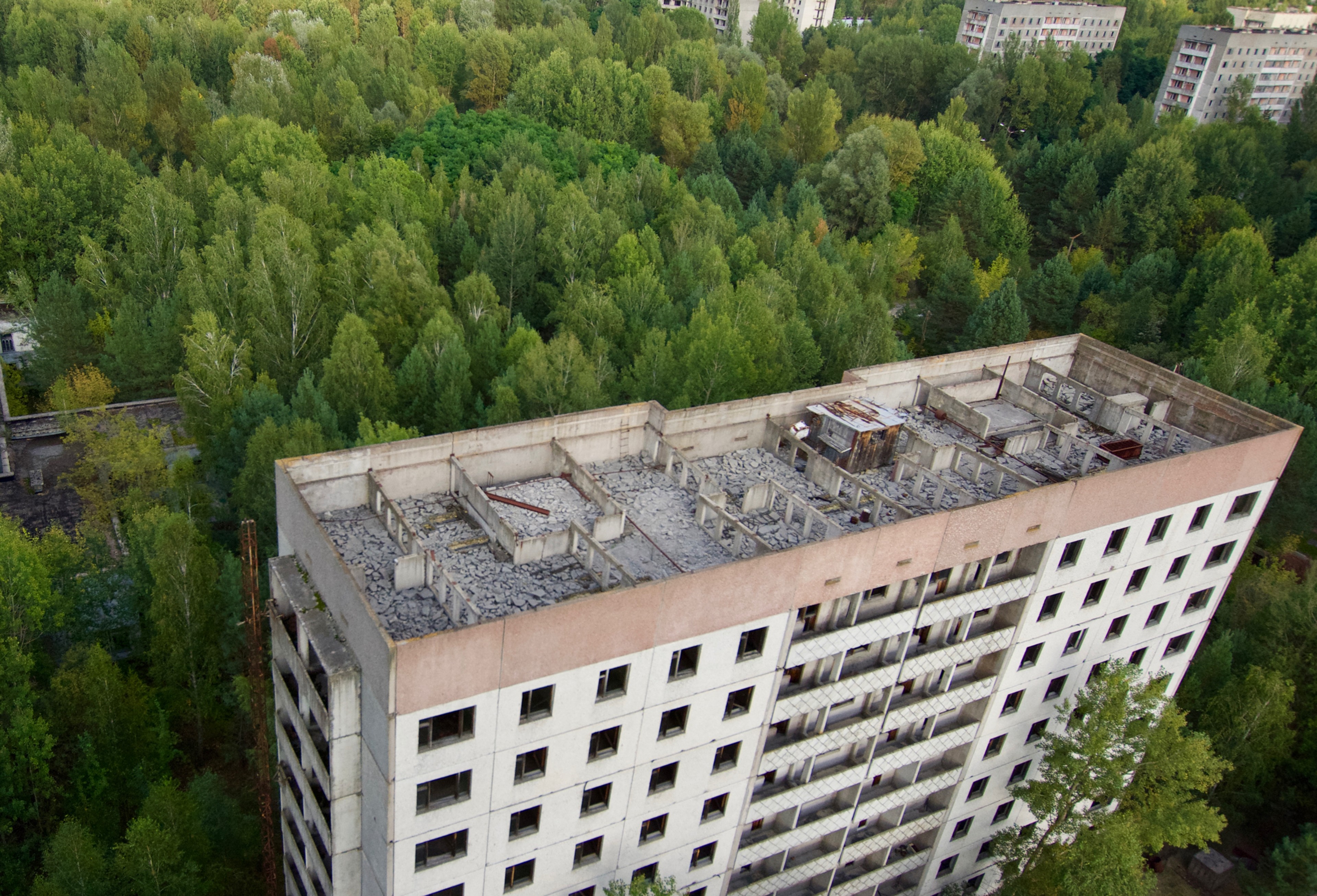 An abandoned apartment roof seen above the treetops.