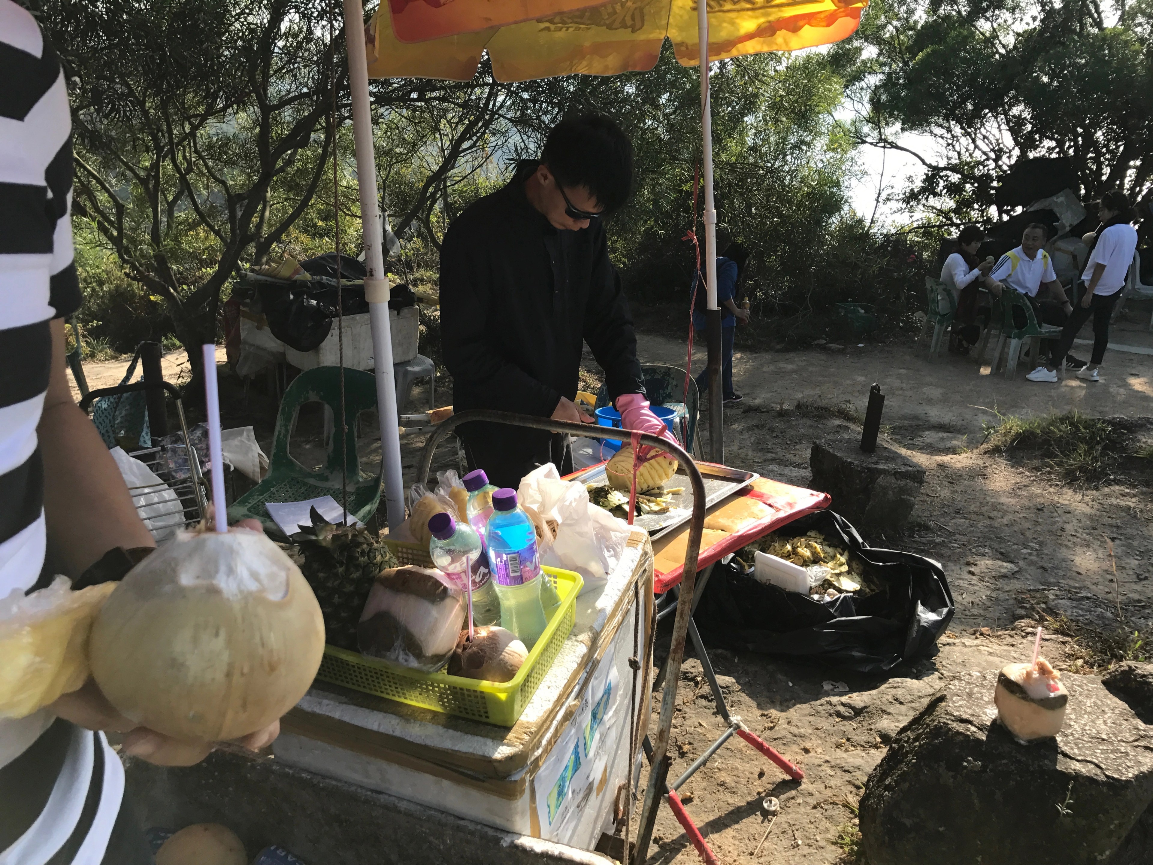 A small outdoor table displays produce and household items beneath trees.