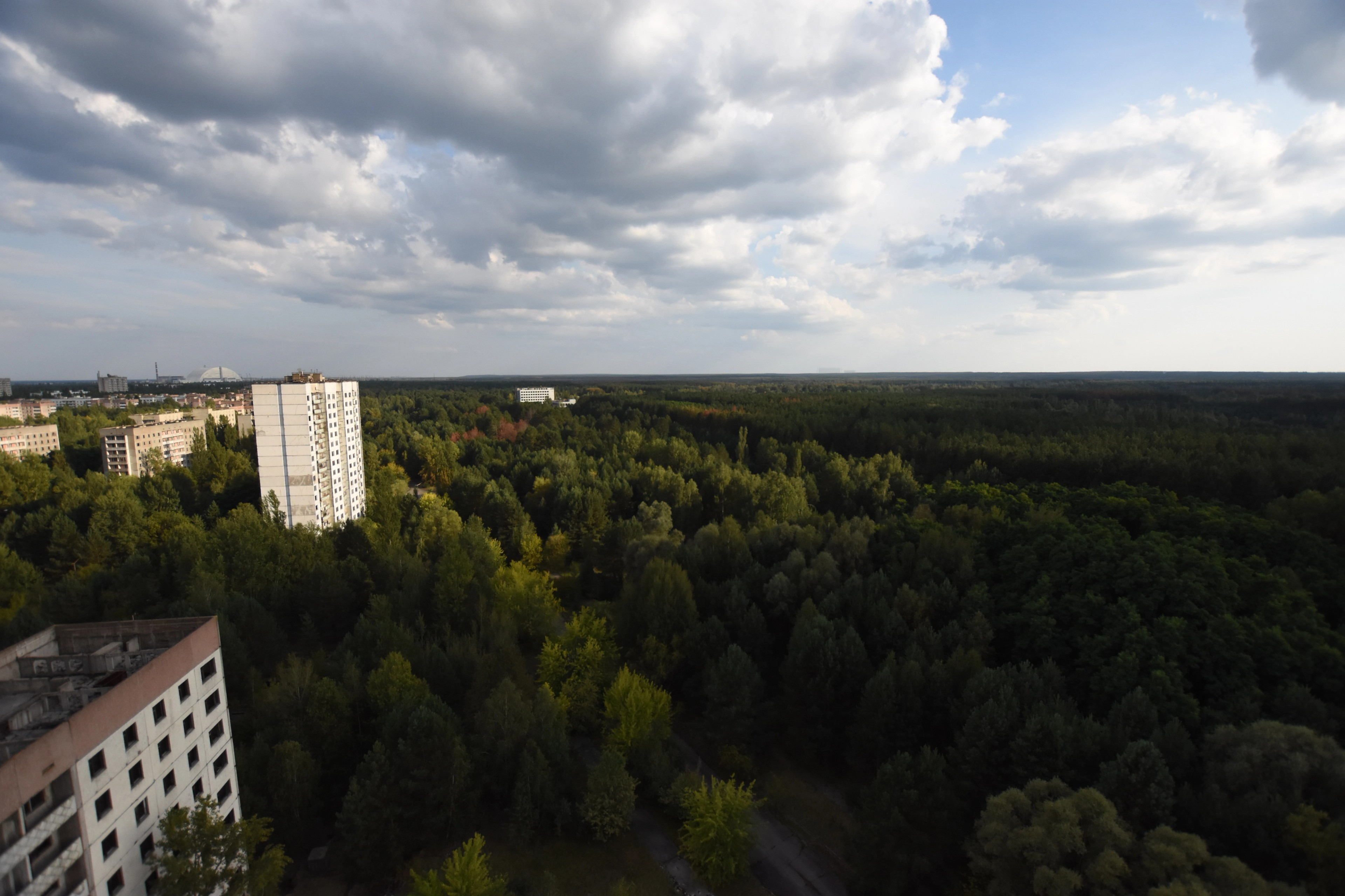 Aerial view of an abandoned high-rise among dense forest.
