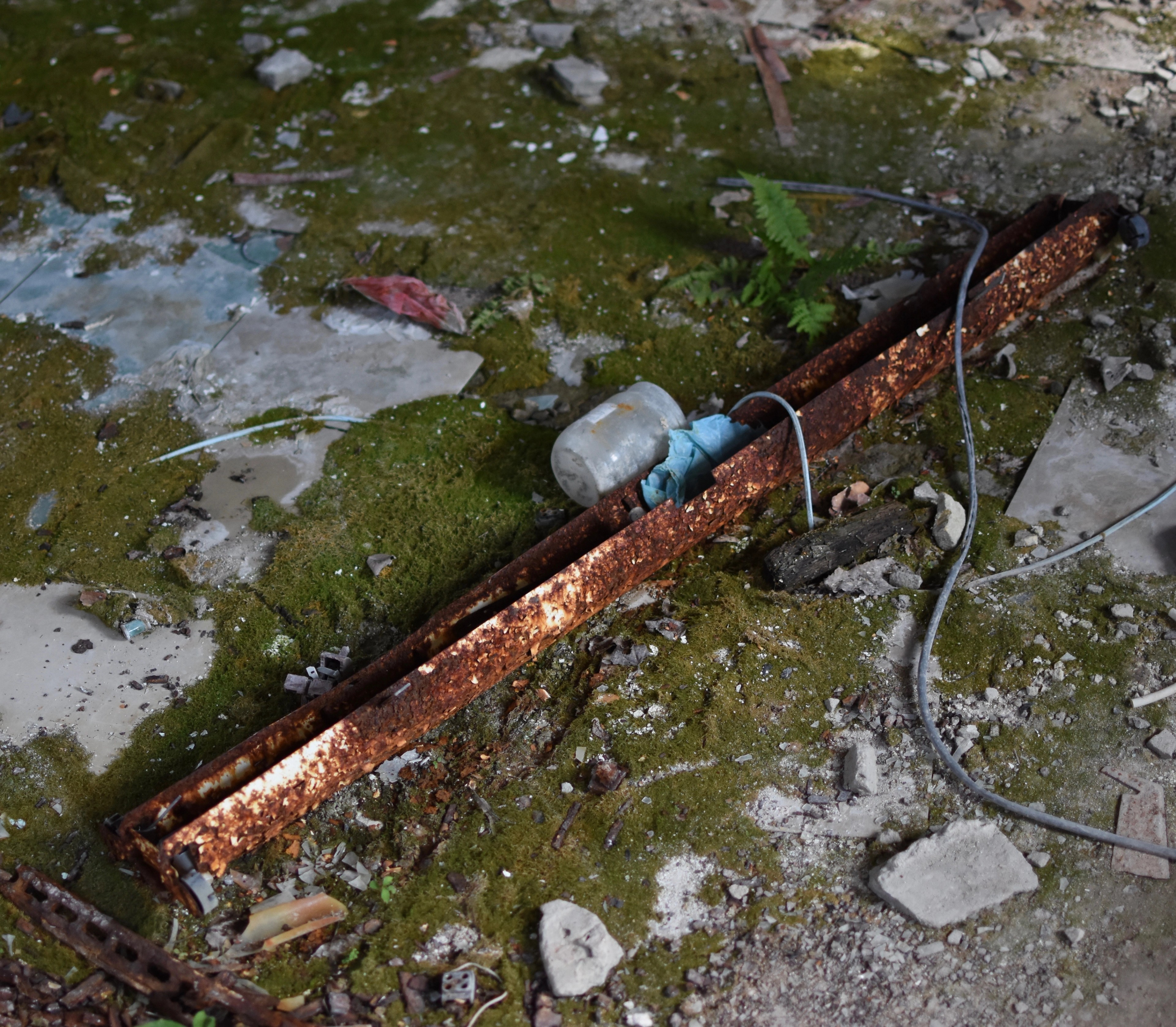 A rusted pipe lies across a mossy forest floor.