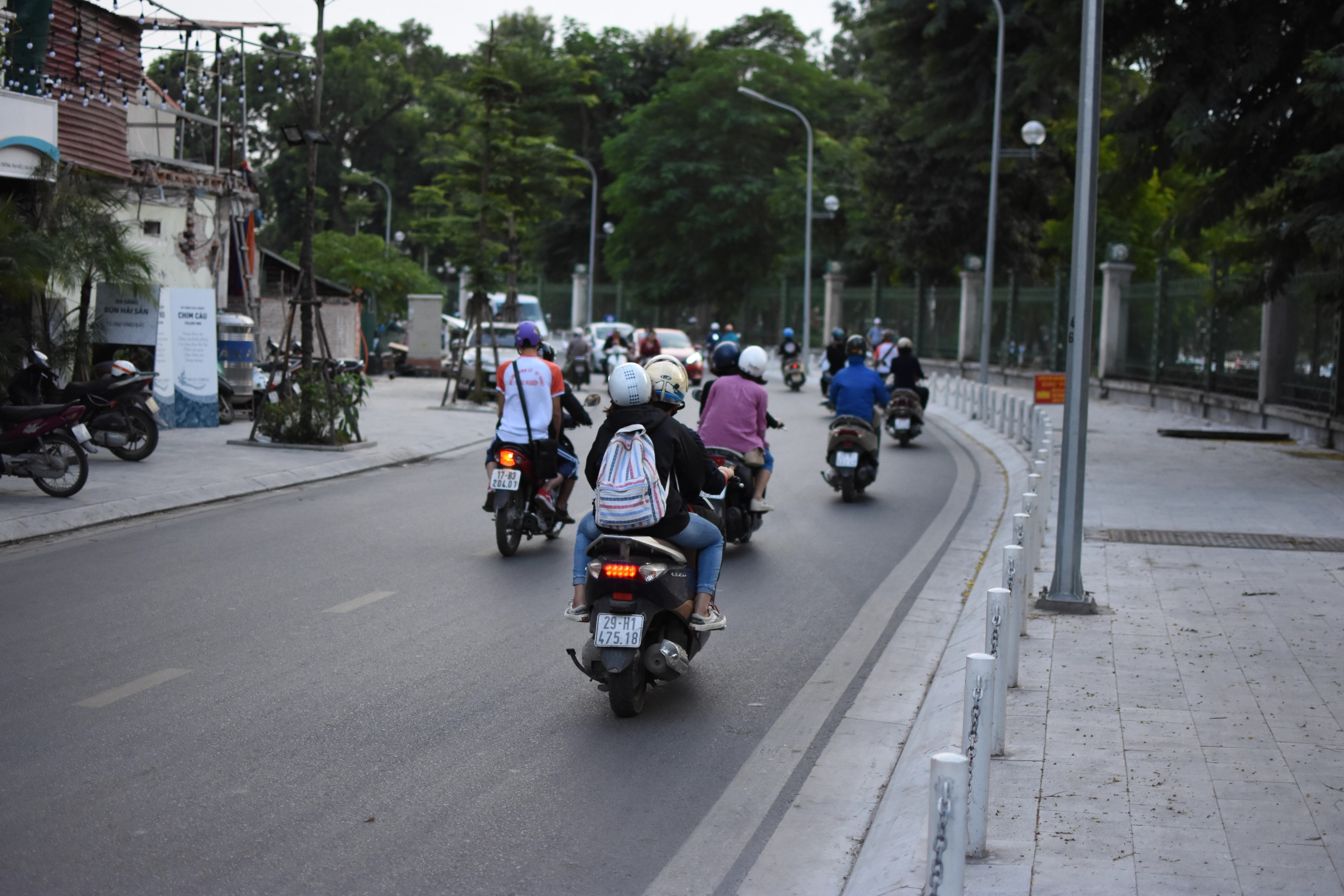 Motorcycles travel along a tree-lined city avenue.