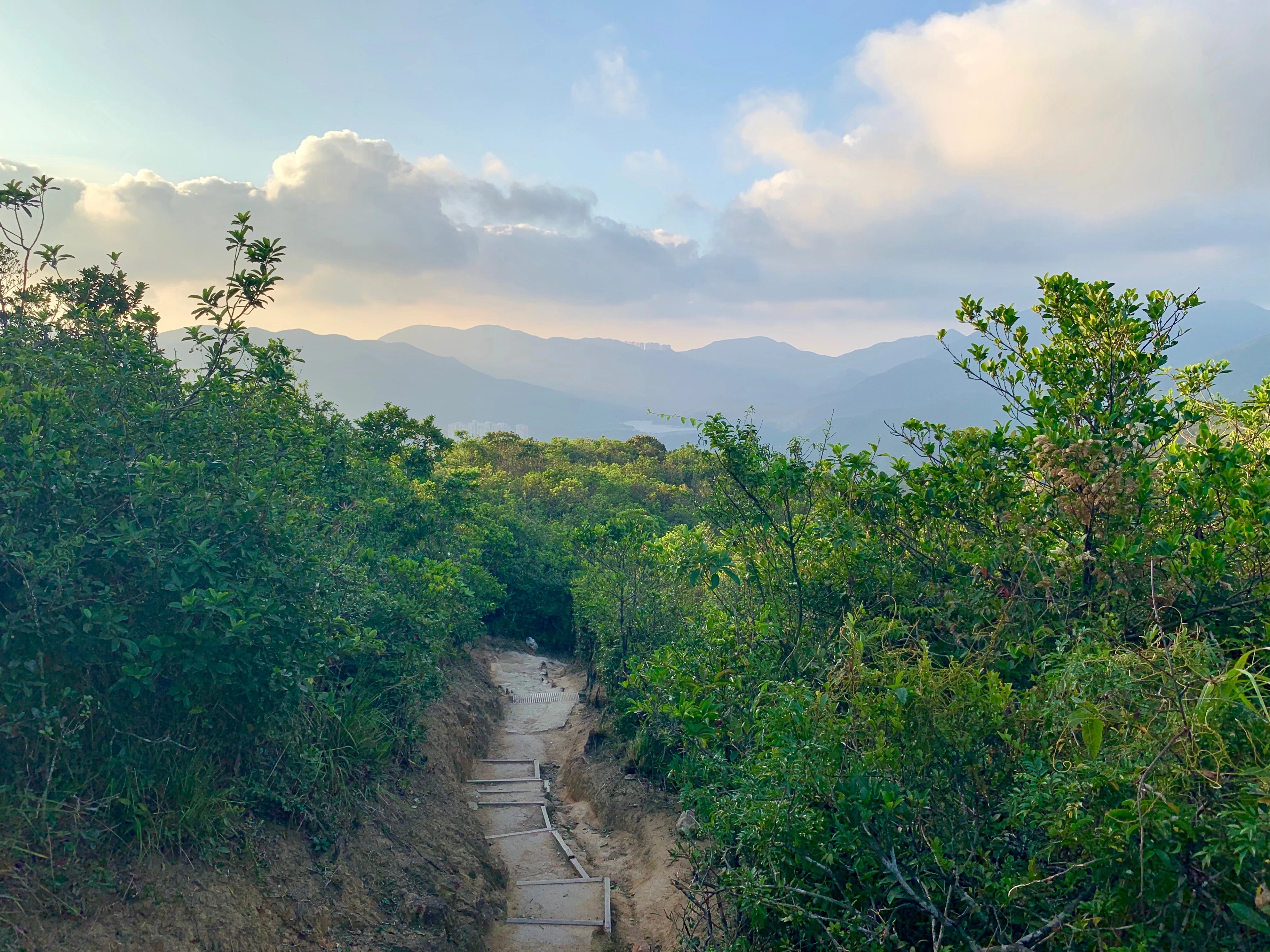 A trail crossing the green Hong Kong hillside.