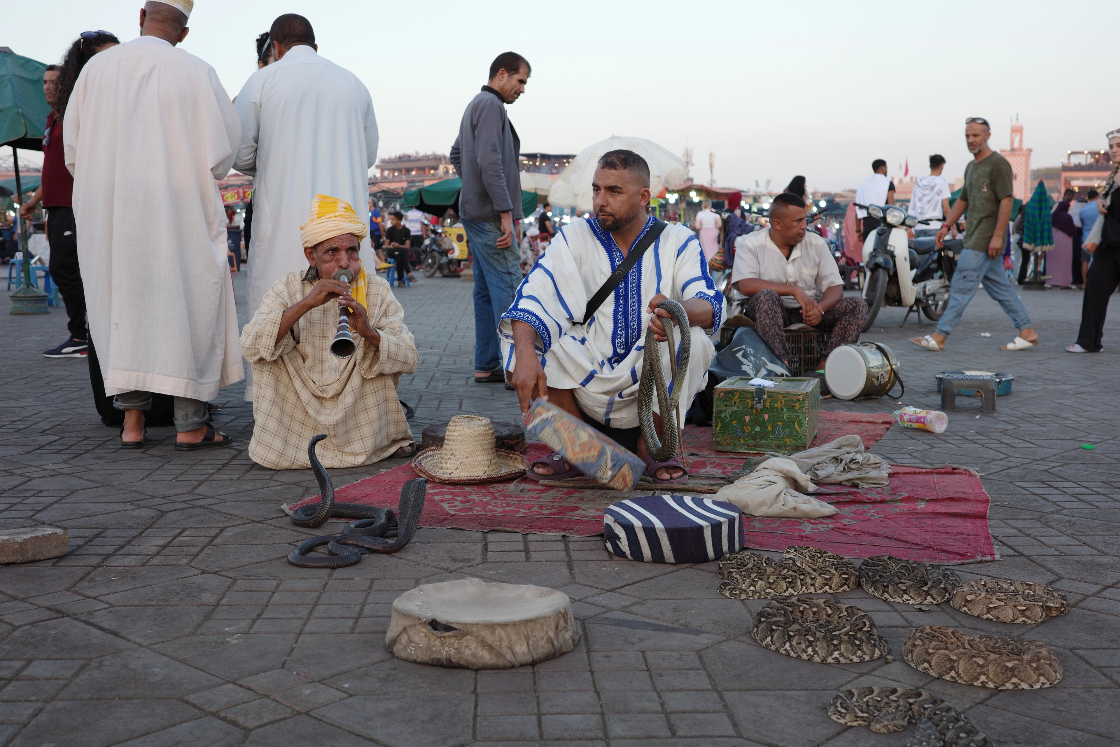 A street performer kneels beside a snake while people gather nearby.