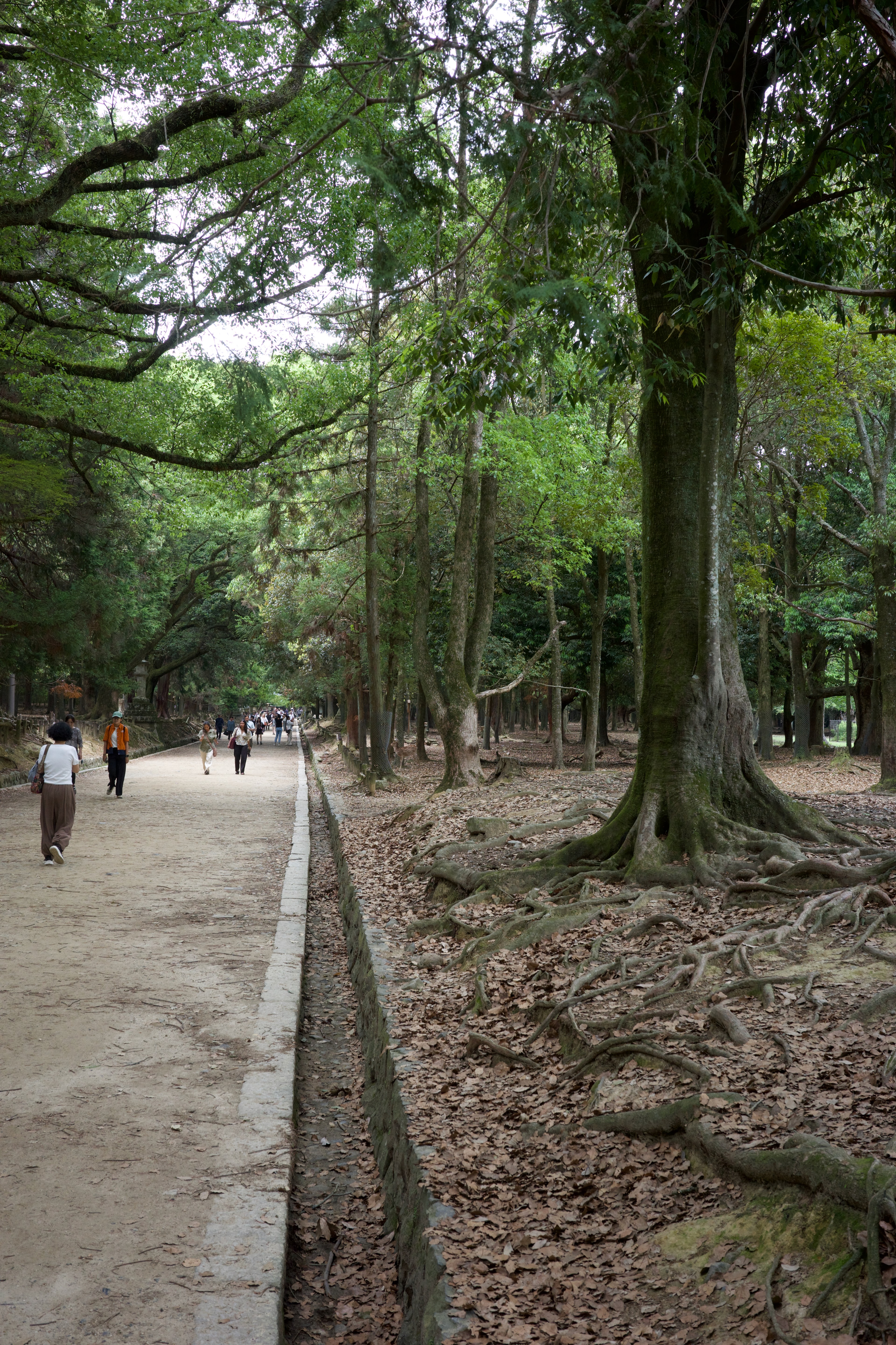 Visitors walk along a wooded path beside a low stone wall.