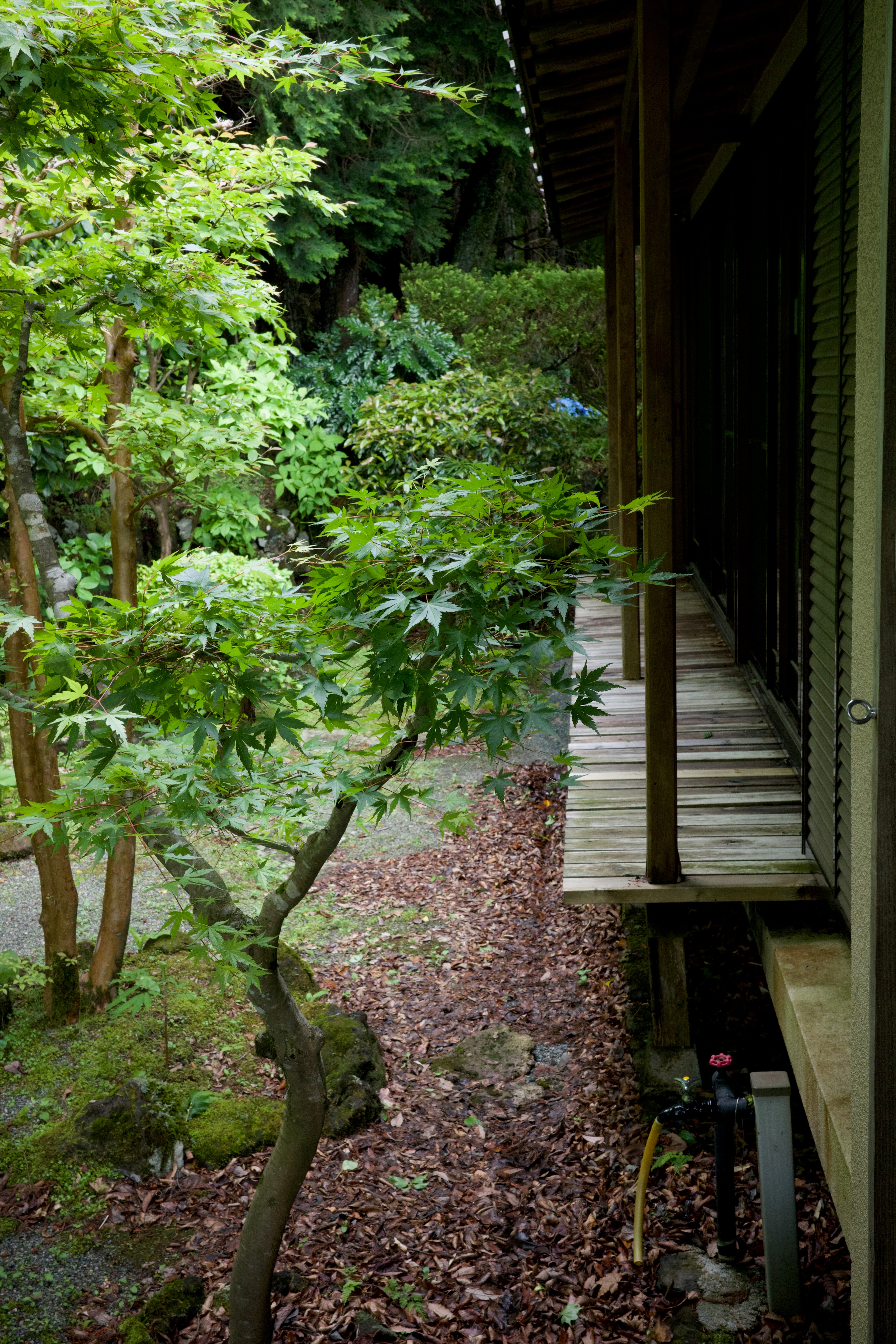 A garden seen from a narrow veranda.