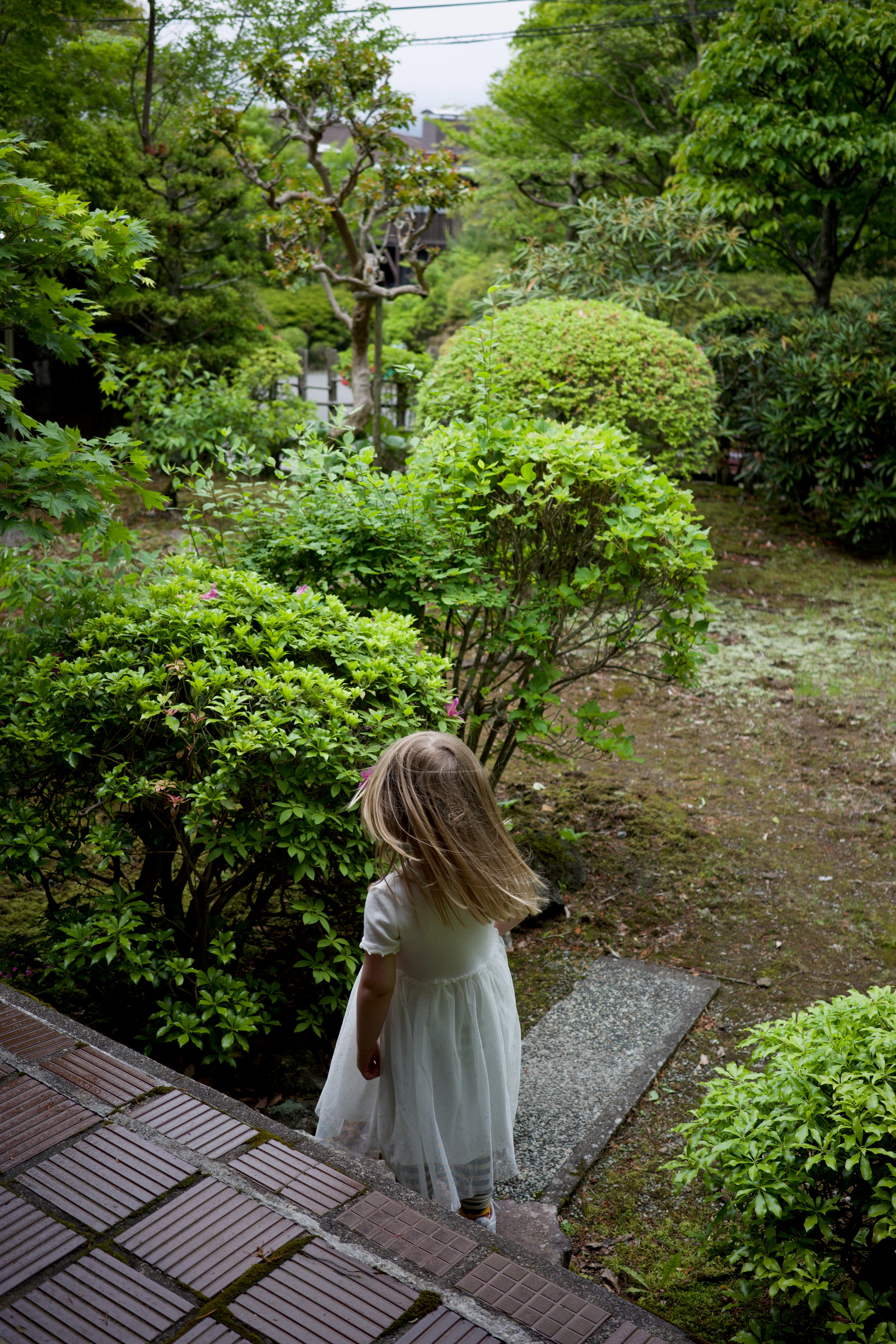 A child stands beside stepping stones in a garden.