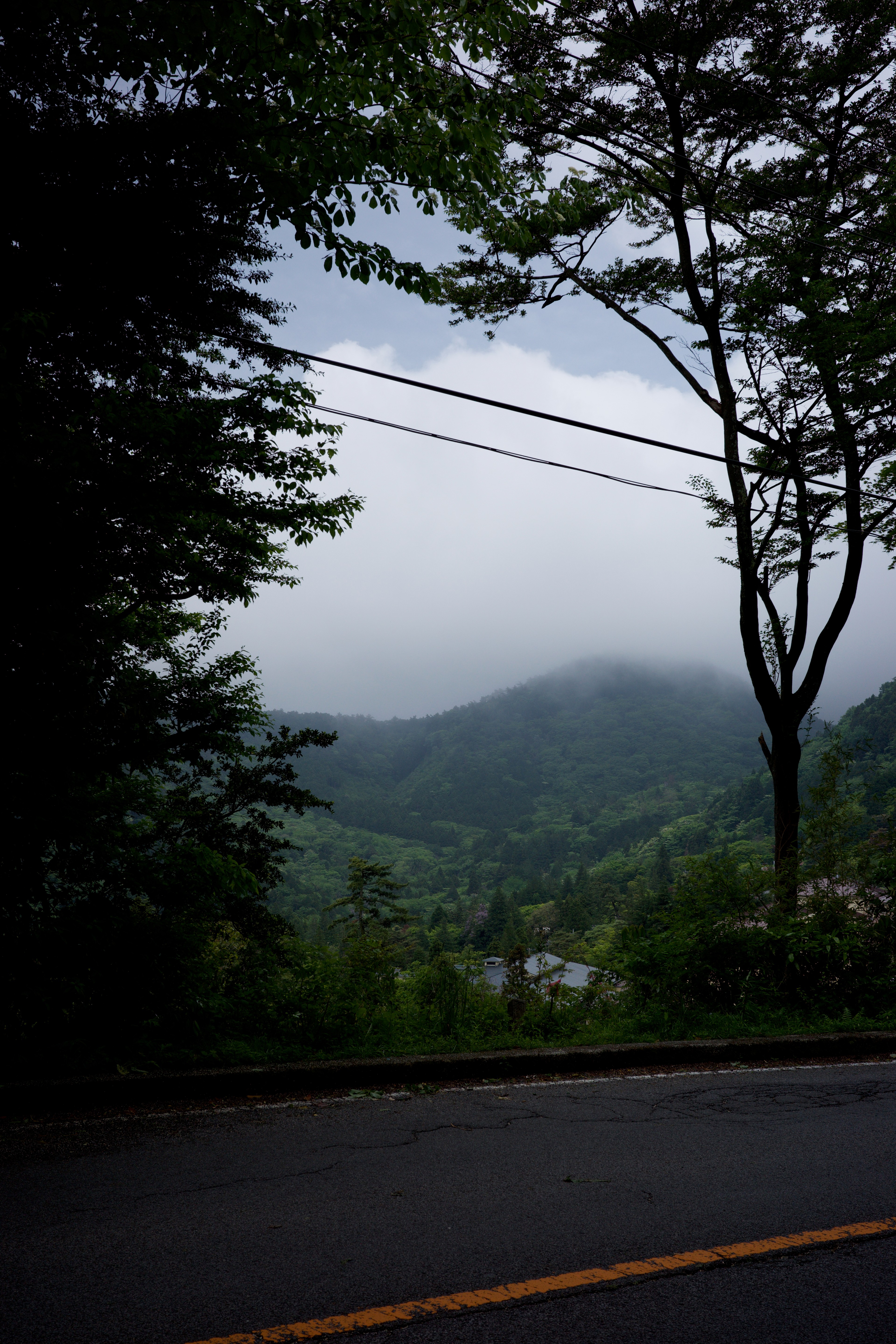 A misty mountain view from a roadside pull-off.