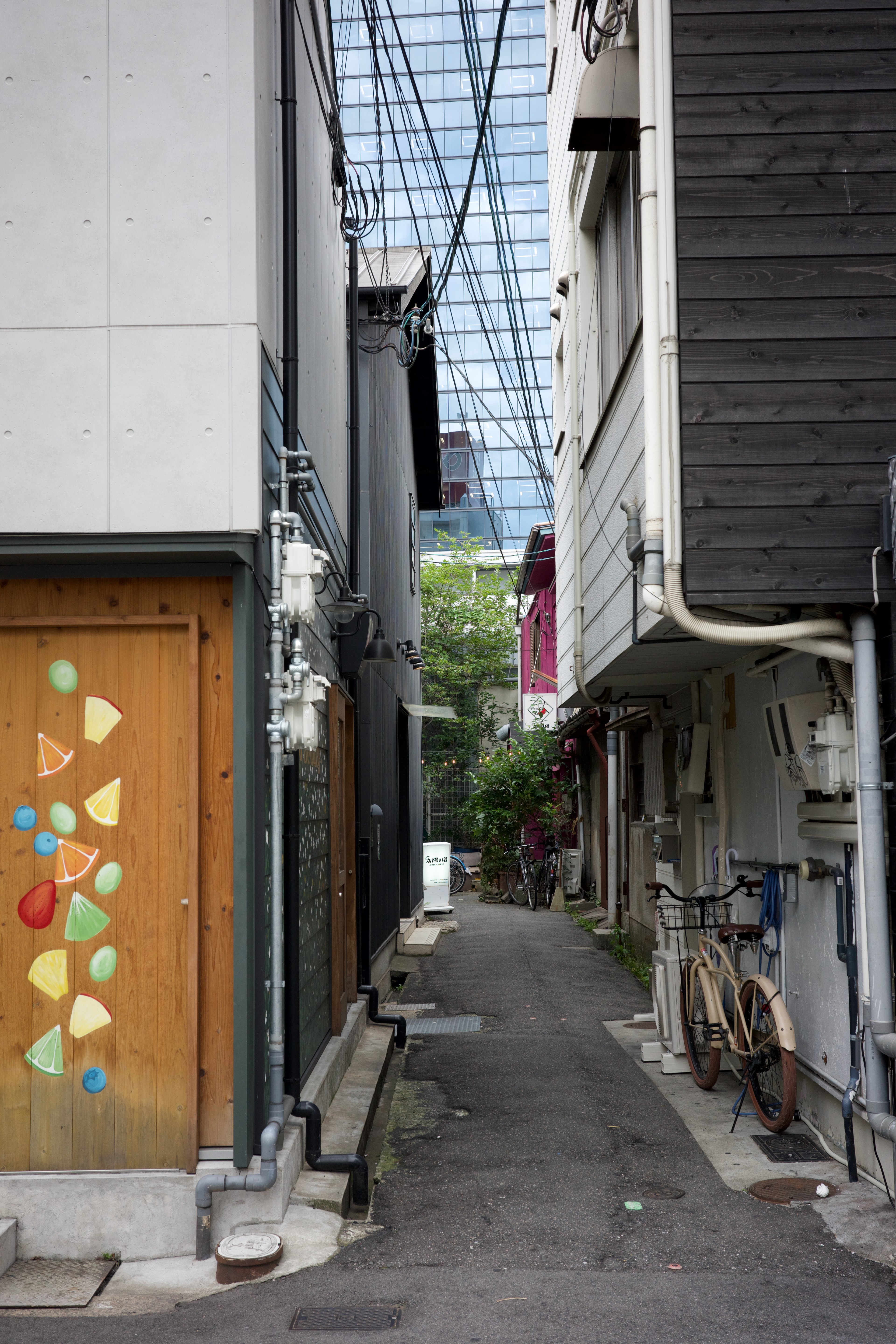 A quiet narrow lane runs between closely spaced homes.