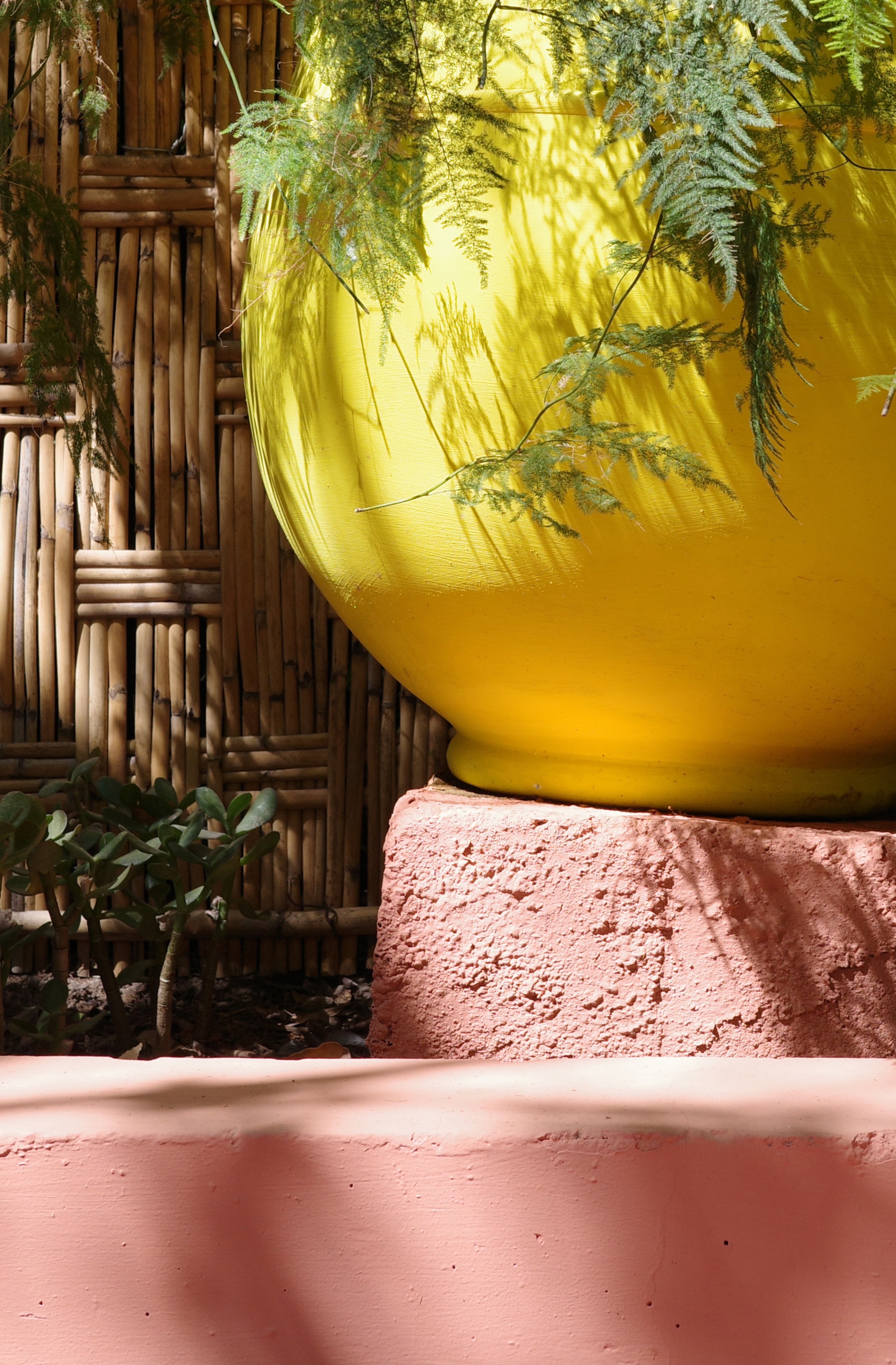 A yellow lantern hangs among palms and greenery in a courtyard.