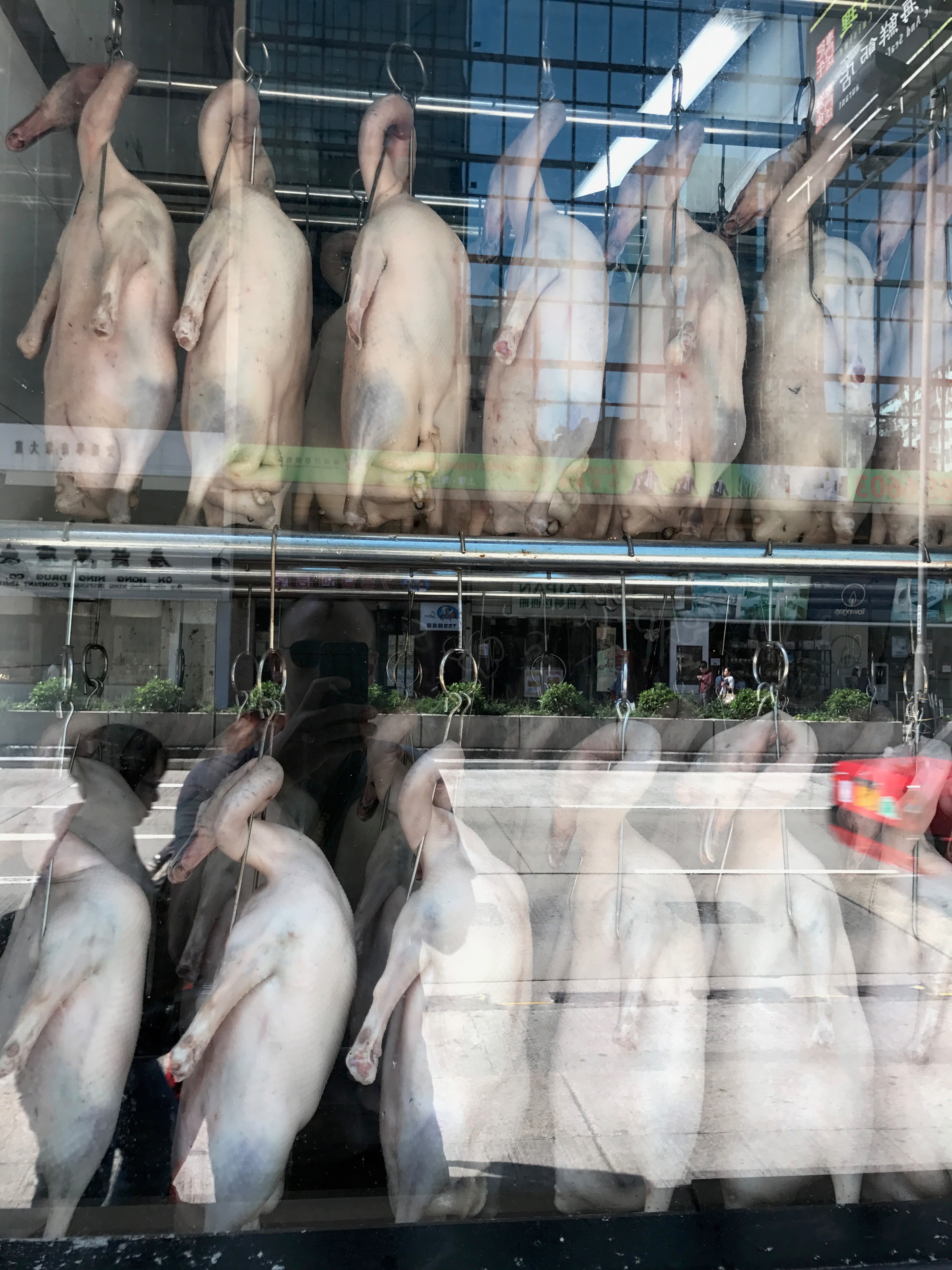 Whole poultry hangs in rows behind a shop window.