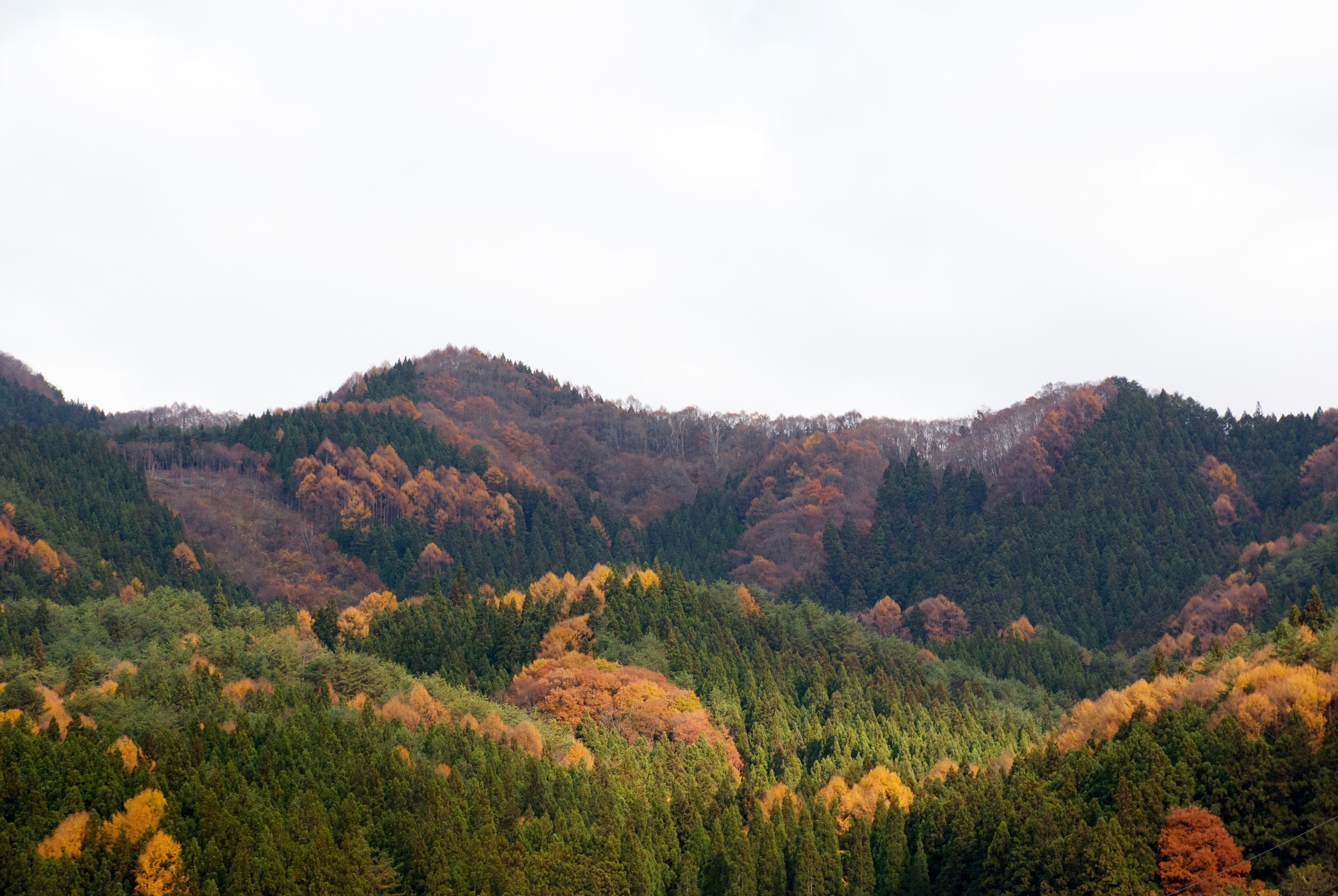 Autumn-colored trees cover a range of hills beneath a cloudy sky.