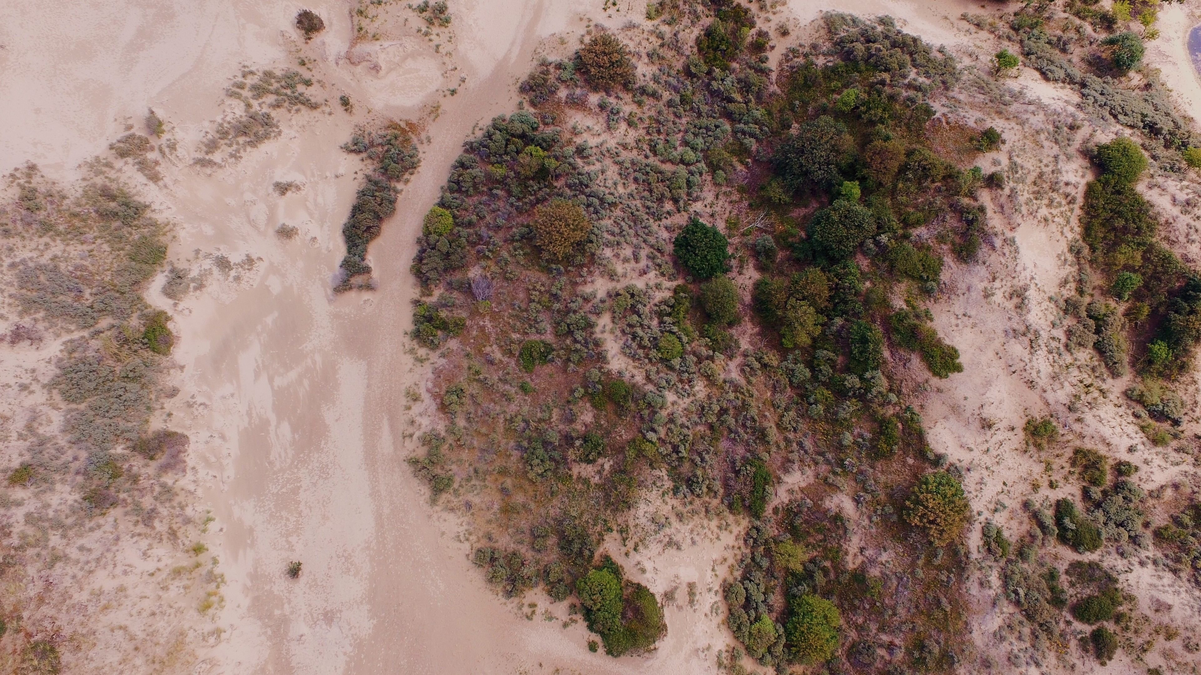 An aerial view of a dry, sandy landscape dotted with shrubs.