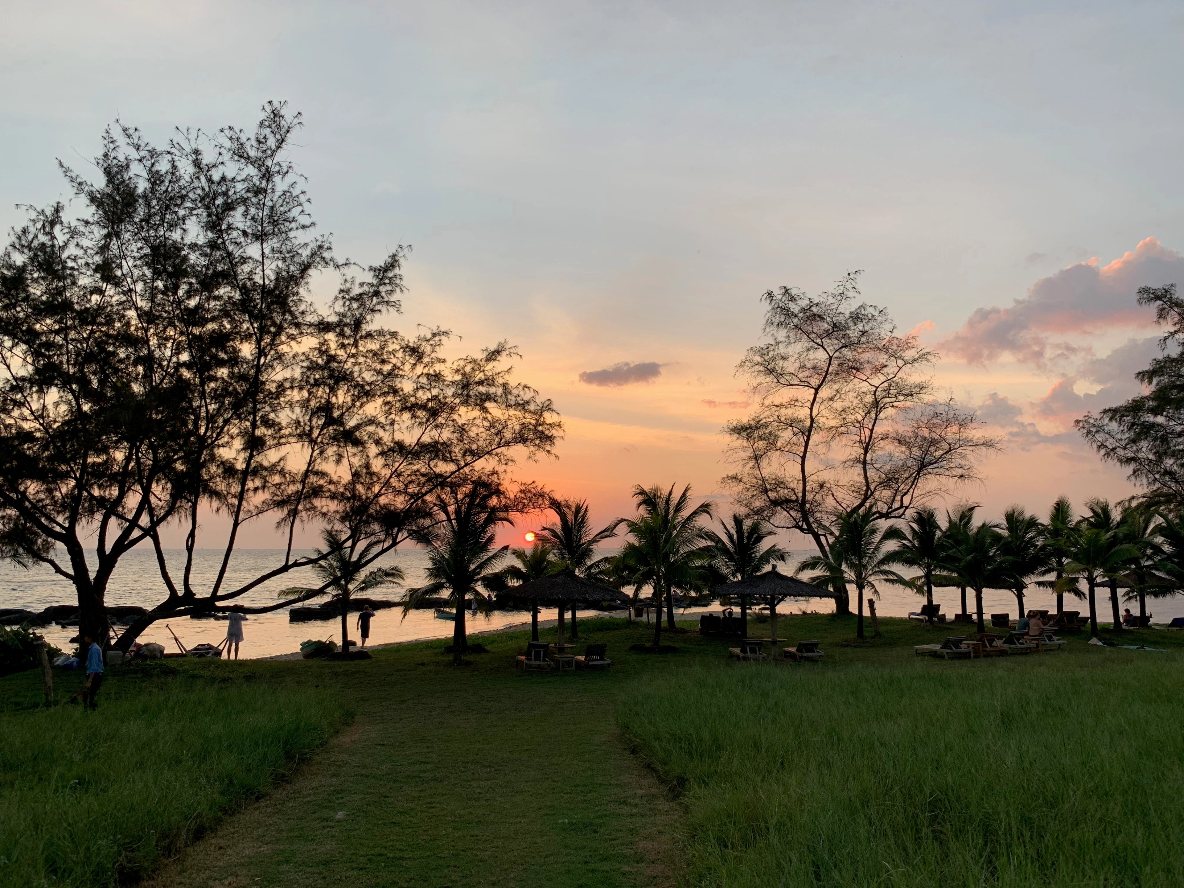 A garden path leads toward palm trees silhouetted against a colorful evening sky.