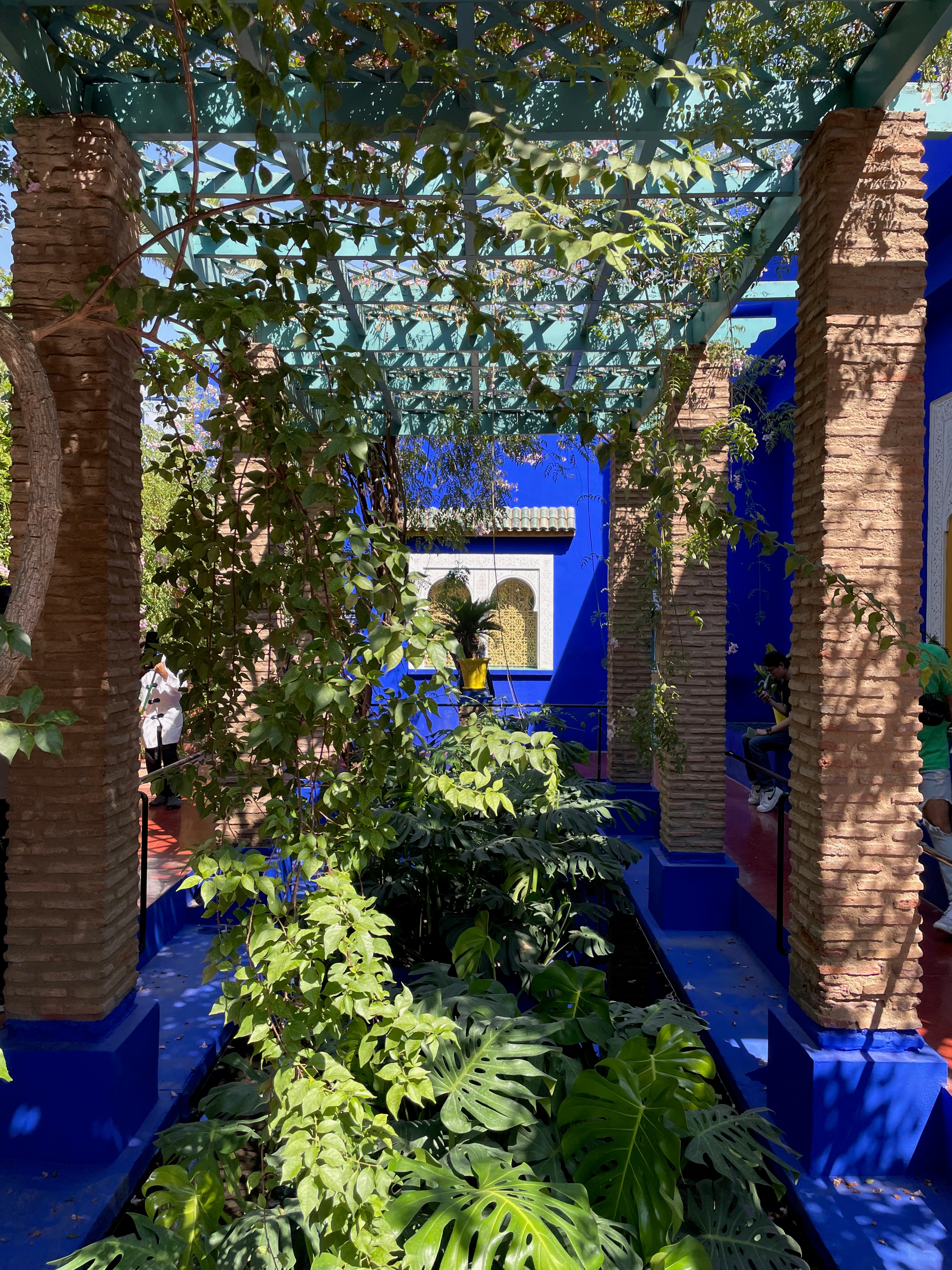 A leafy courtyard garden frames a vivid blue wall and doorway.