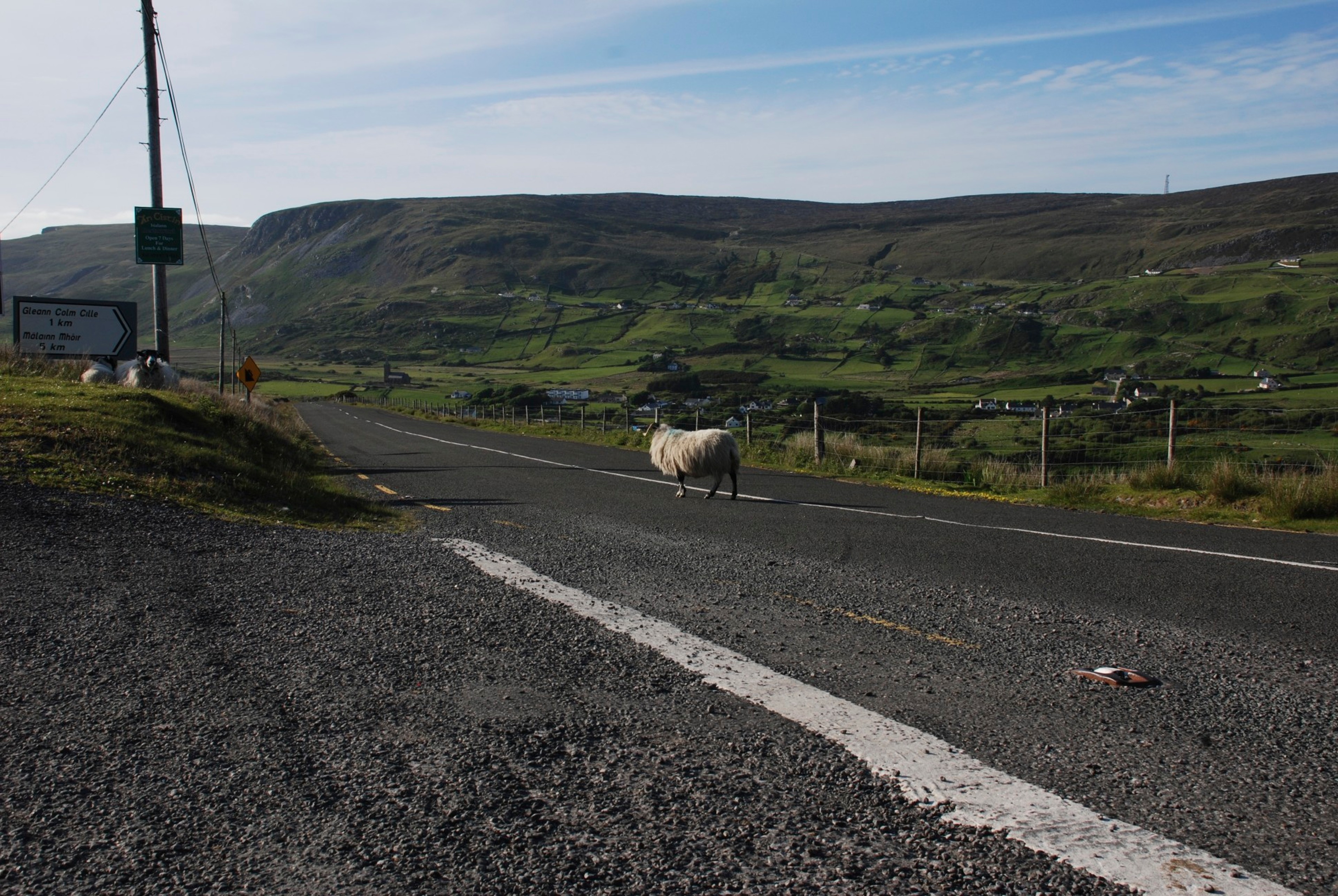 A sheep stands by the roadside with green hills behind it.