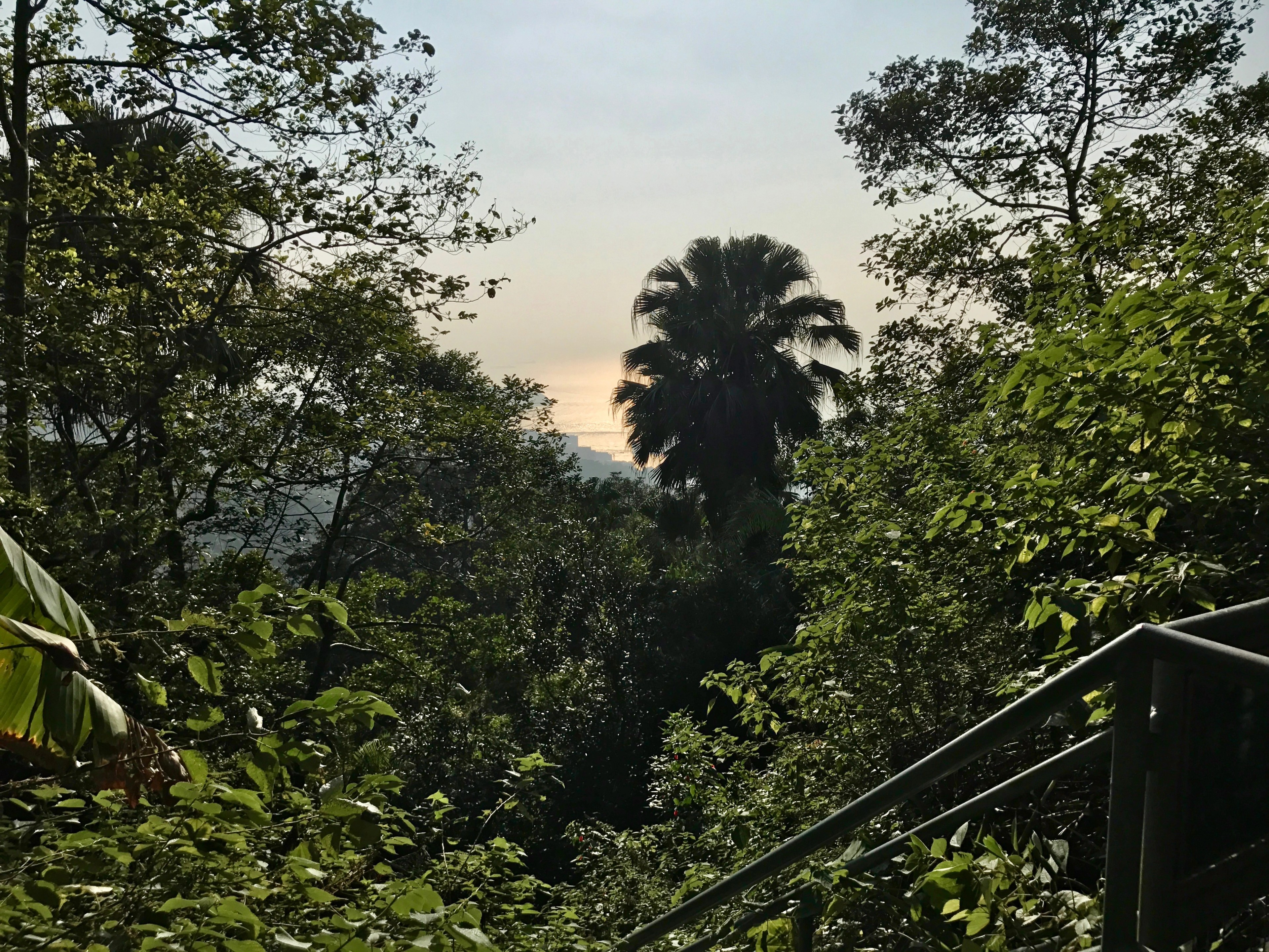 A green hillside path and stairs descend through trees.