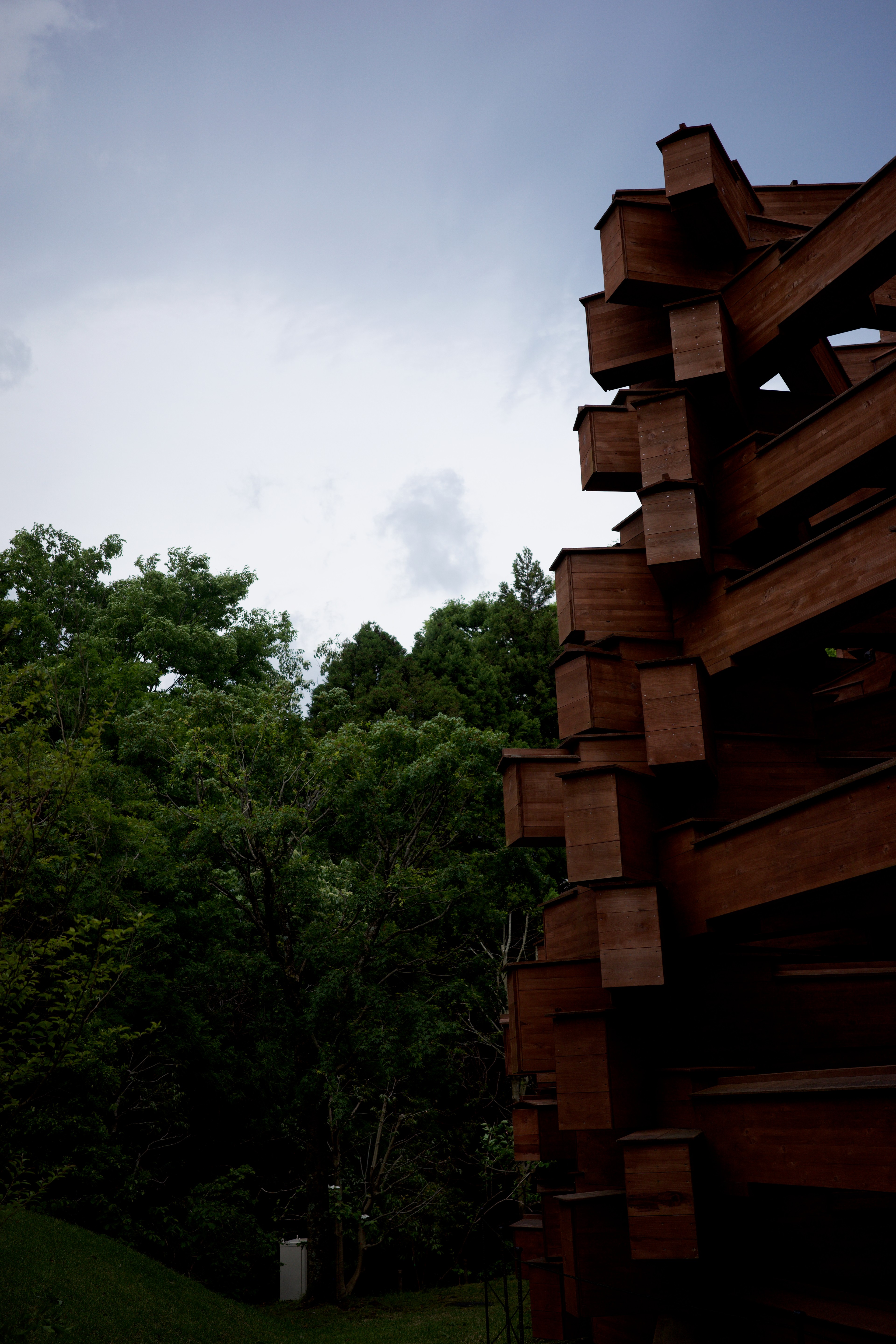 A tall timber structure rises among trees.