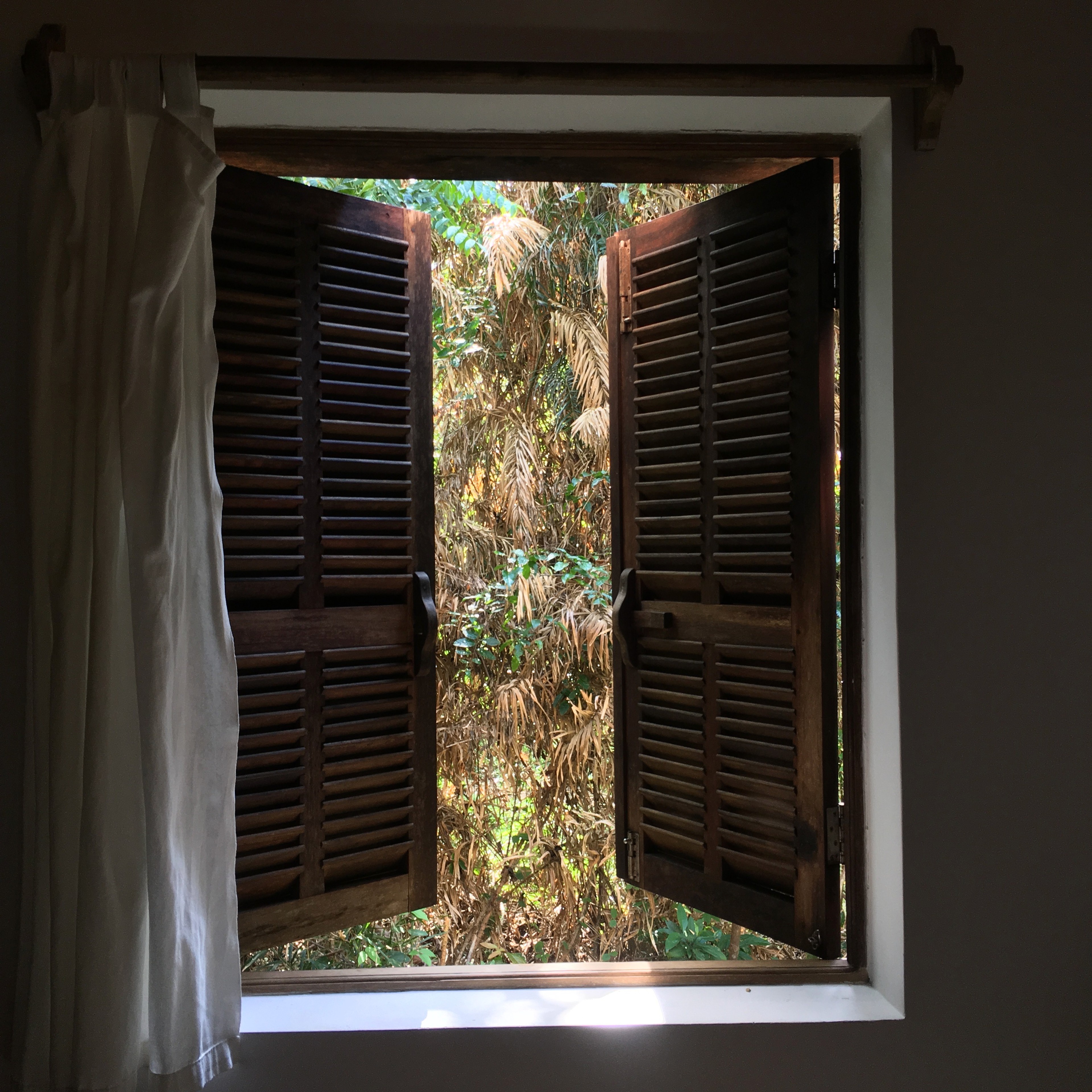 Open wooden shutters frame a view into a leafy garden.