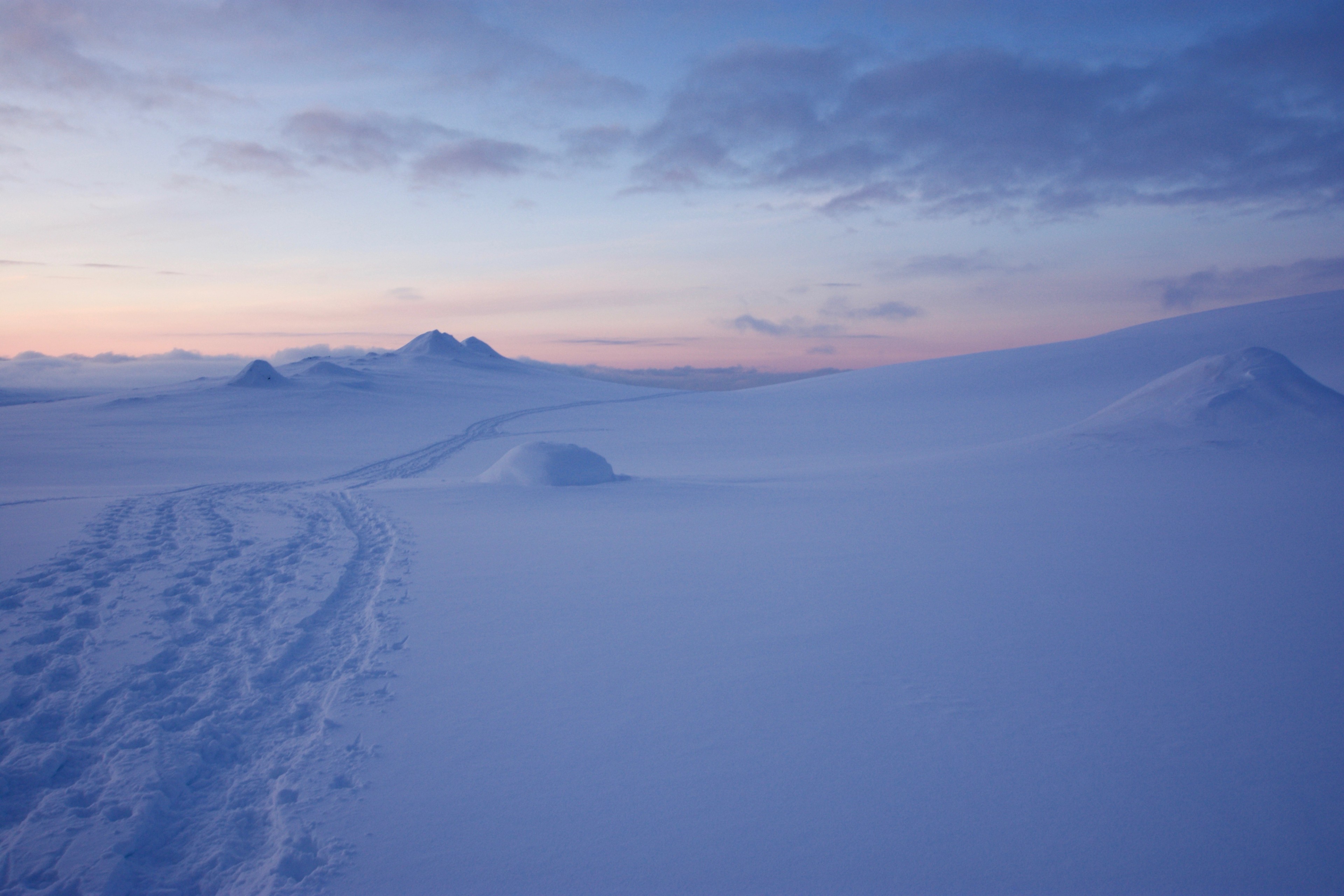 Tracks lead across a quiet snow-covered landscape.